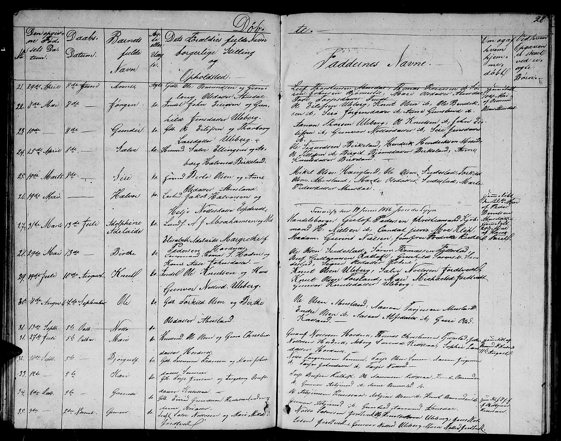 Evje sokneprestkontor, AV/SAK-1111-0008/F/Fb/Fbb/L0001: Parish register (copy) no. B 1, 1849-1878, p. 28