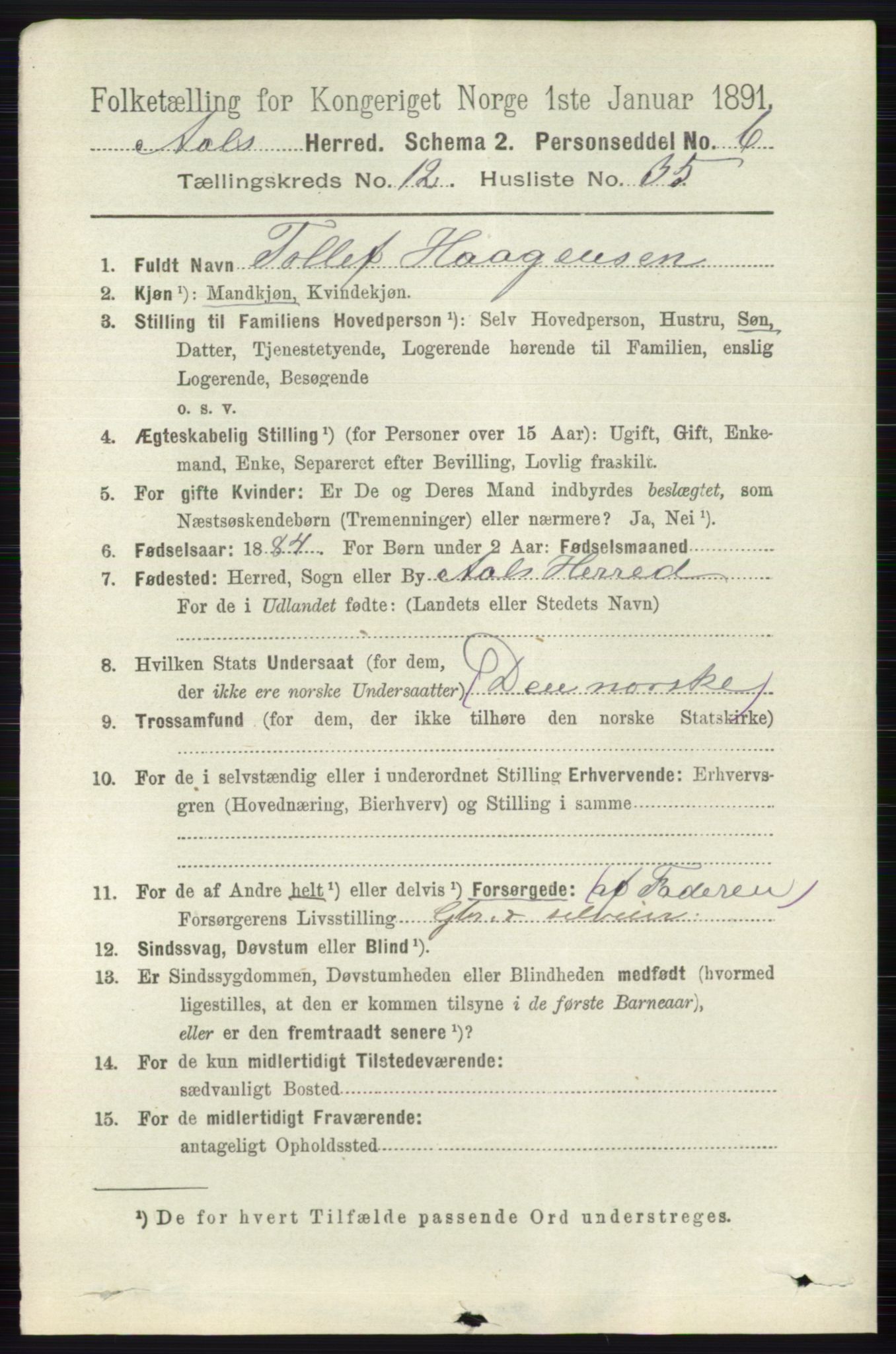 RA, 1891 census for 0619 Ål, 1891, p. 3210