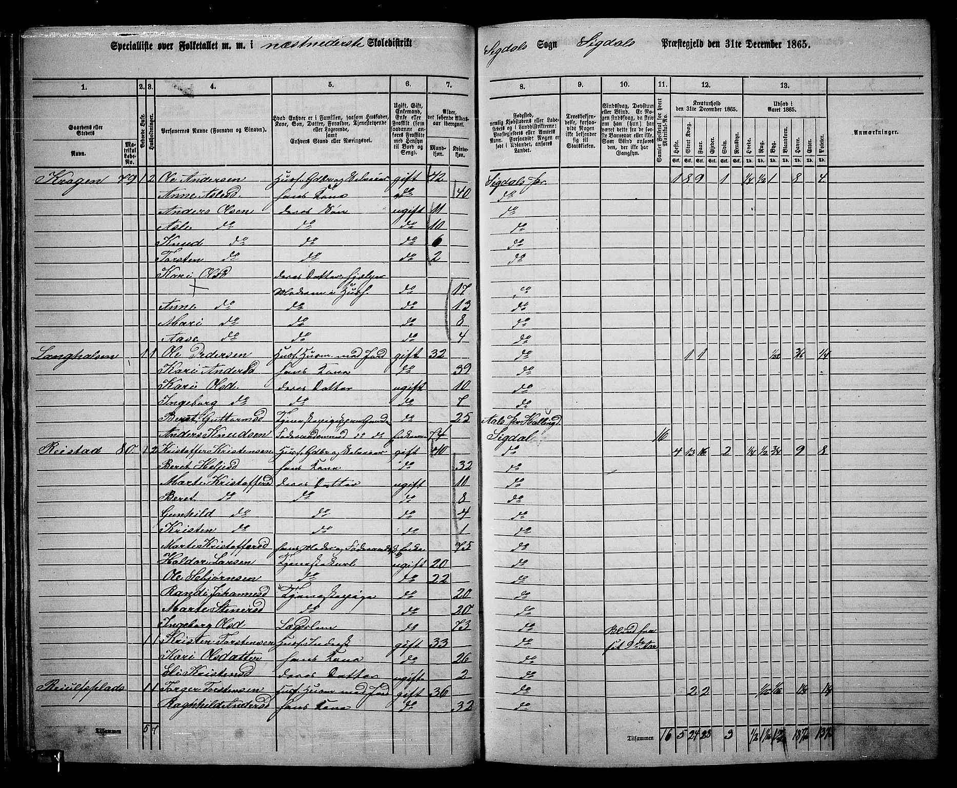 RA, 1865 census for Sigdal, 1865, p. 60