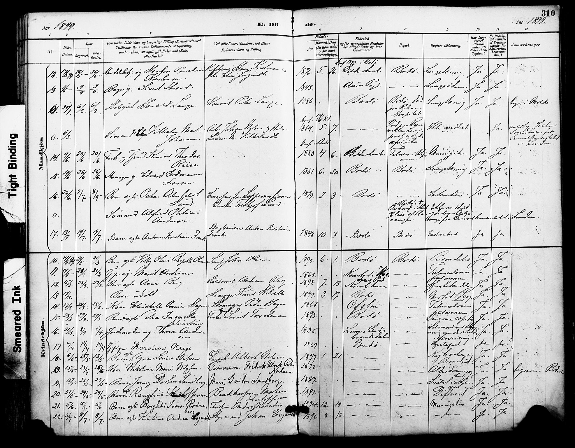 Ministerialprotokoller, klokkerbøker og fødselsregistre - Nordland, AV/SAT-A-1459/801/L0010: Parish register (official) no. 801A10, 1888-1899, p. 310