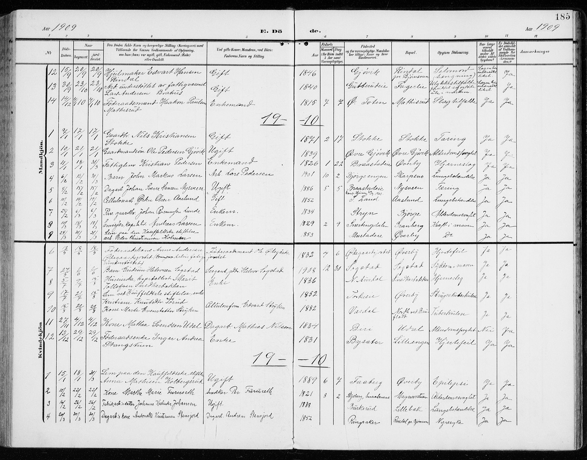 Vardal prestekontor, SAH/PREST-100/H/Ha/Haa/L0016: Parish register (official) no. 16, 1904-1916, p. 185