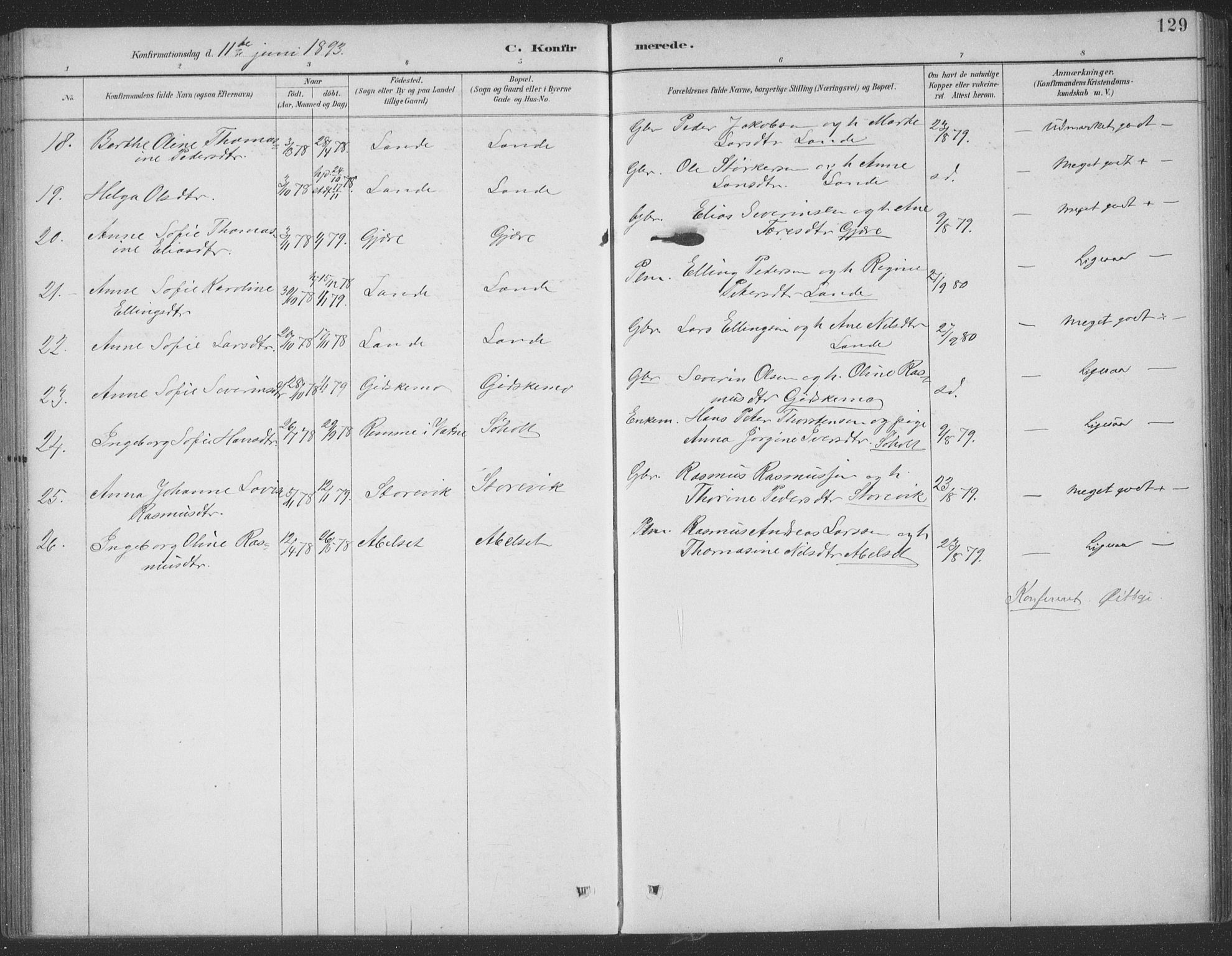 Ministerialprotokoller, klokkerbøker og fødselsregistre - Møre og Romsdal, AV/SAT-A-1454/522/L0316: Parish register (official) no. 522A11, 1890-1911, p. 129