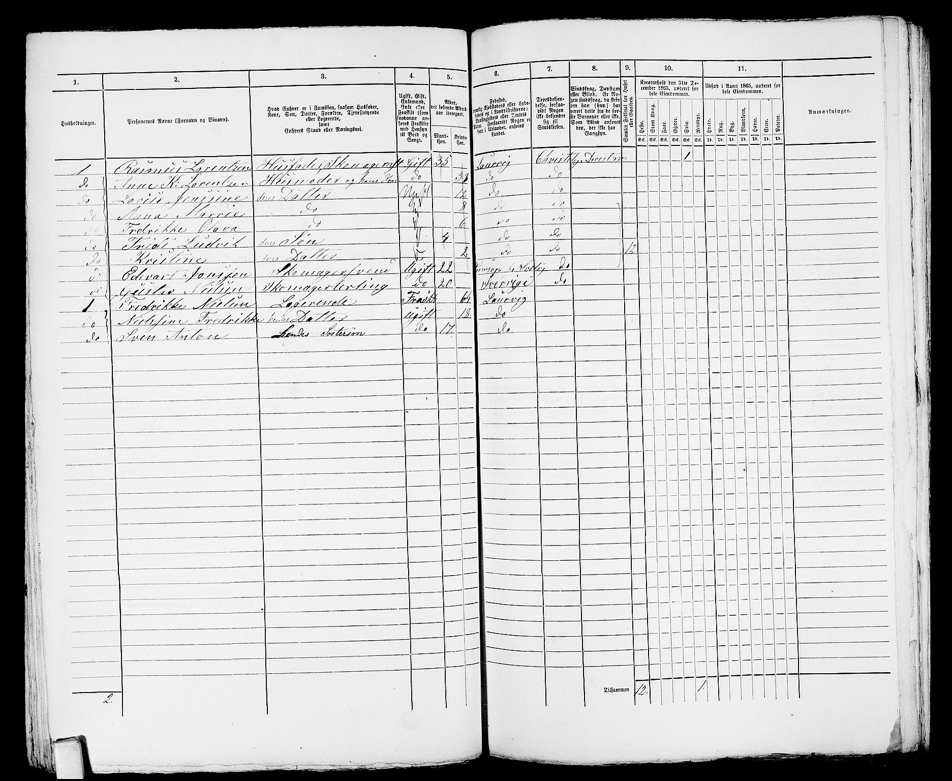 RA, 1865 census for Larvik, 1865, p. 905