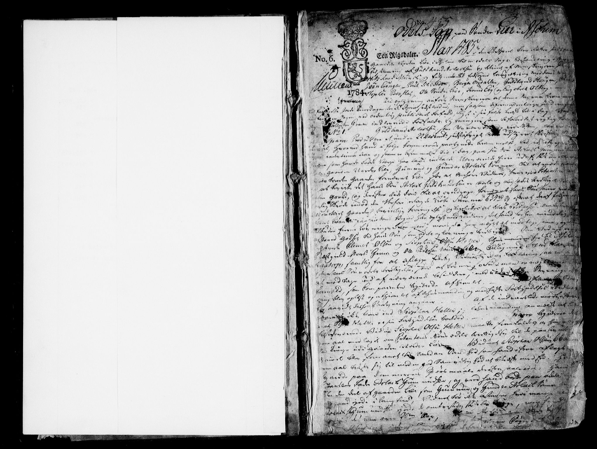 Heggen og Frøland sorenskriveri I, SAO/A-11556/F/Fb/L0044: Tingbok, 1785-1794, p. 1