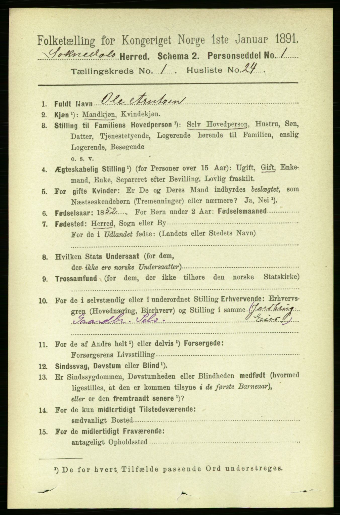 RA, 1891 census for 1649 Soknedal, 1891, p. 218