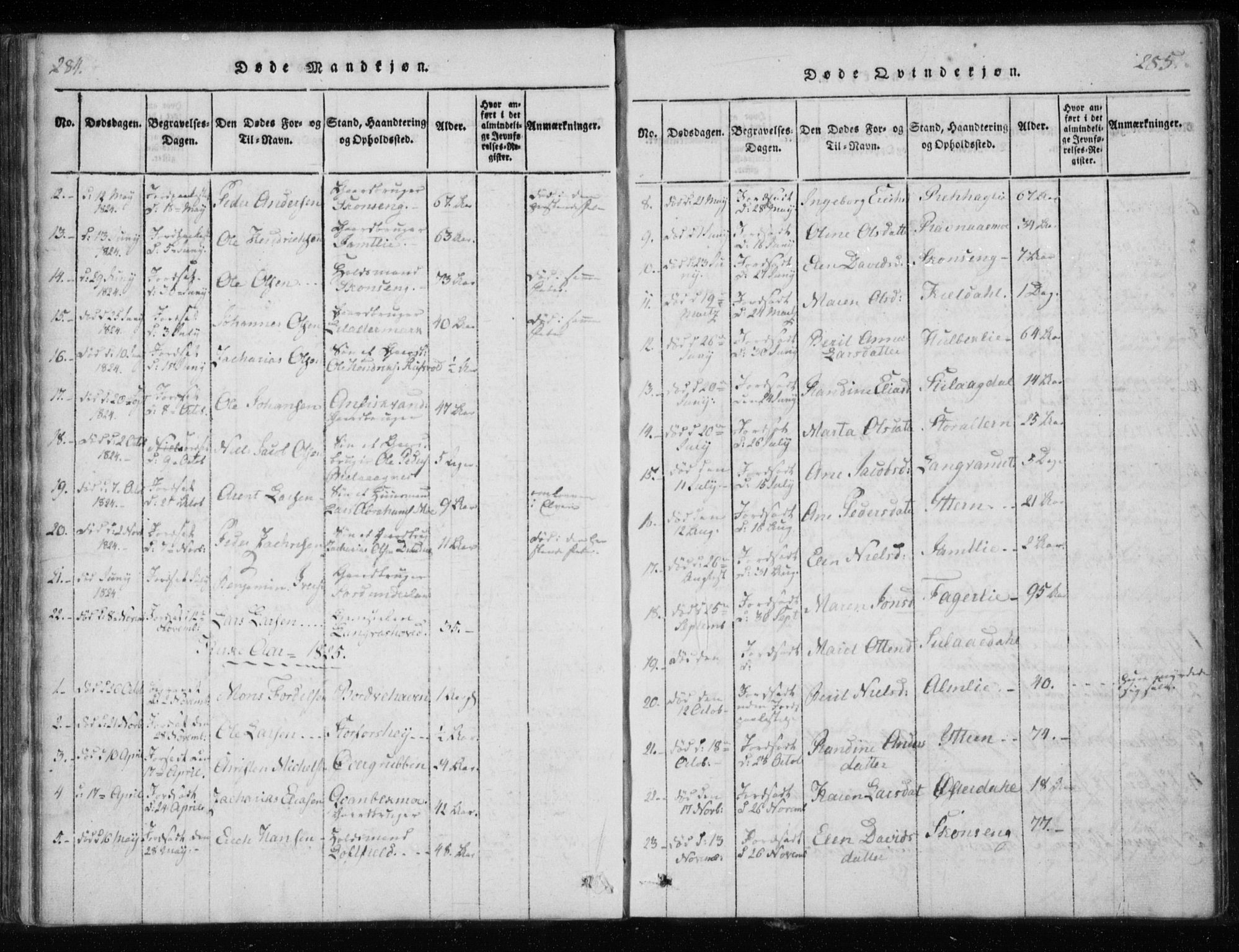 Ministerialprotokoller, klokkerbøker og fødselsregistre - Nordland, AV/SAT-A-1459/825/L0353: Parish register (official) no. 825A07, 1820-1826, p. 284-285