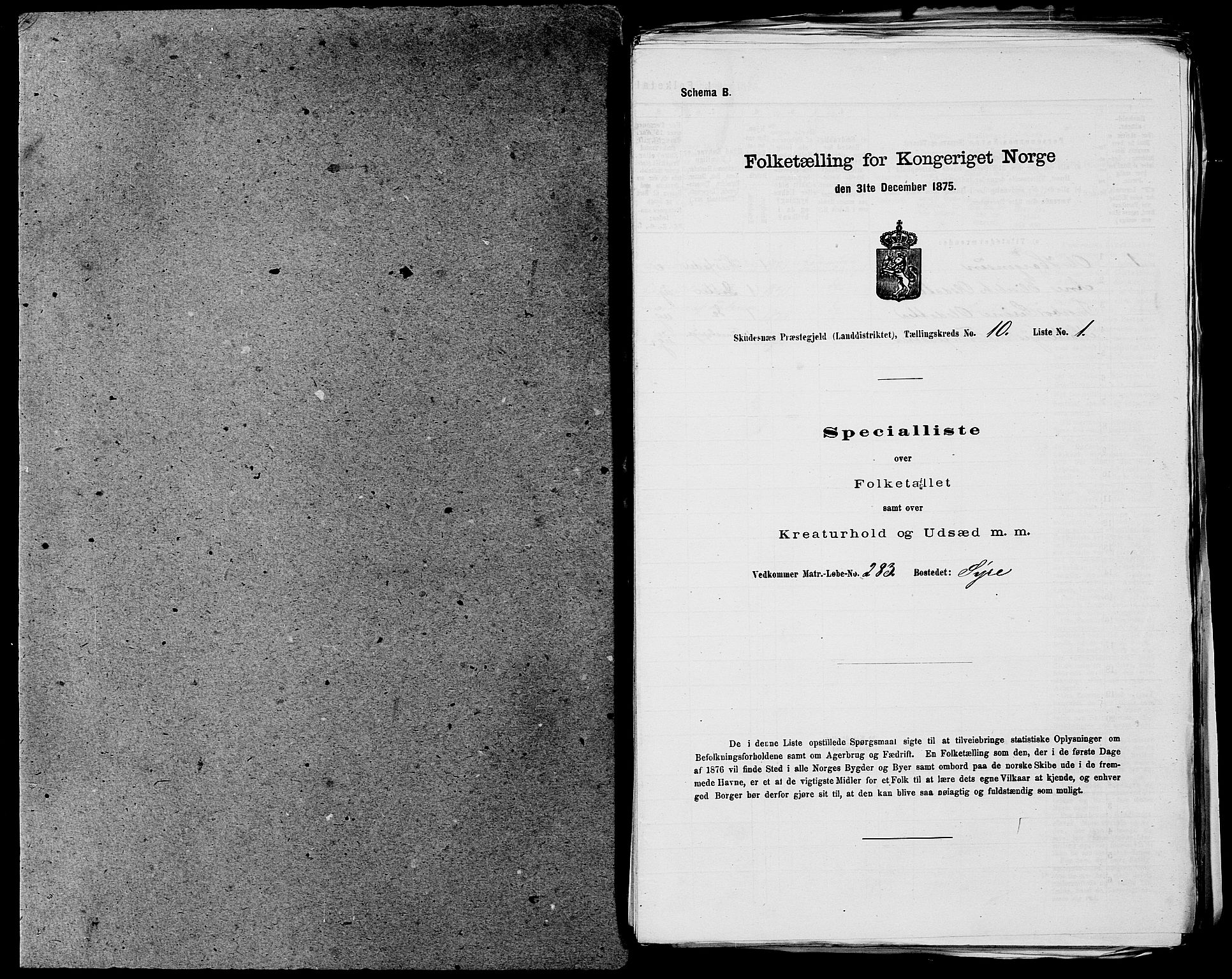 SAST, 1875 census for 1150L Skudenes/Falnes, Åkra og Ferkingstad, 1875, p. 1286