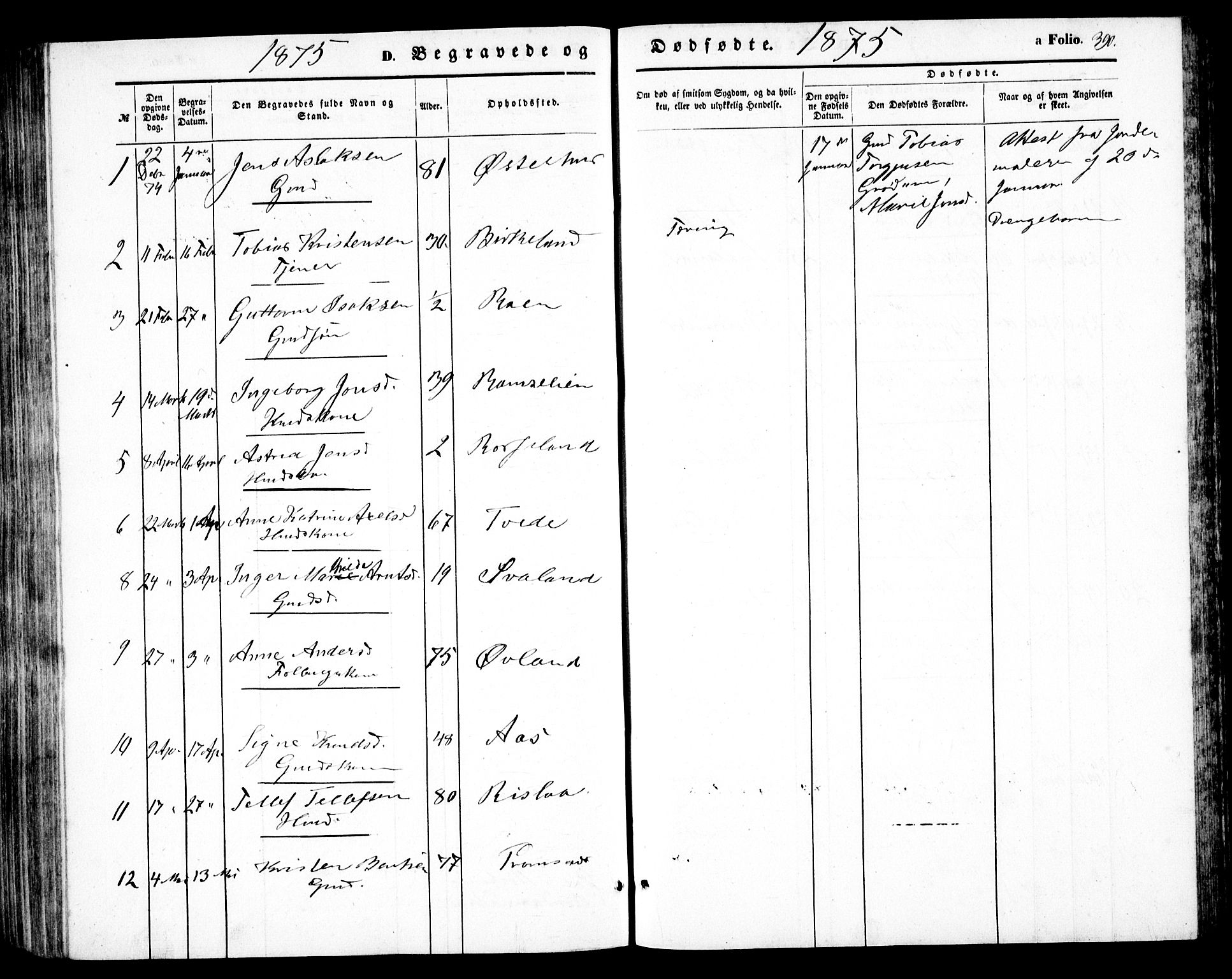 Birkenes sokneprestkontor, AV/SAK-1111-0004/F/Fb/L0002: Parish register (copy) no. B 2, 1849-1876, p. 390