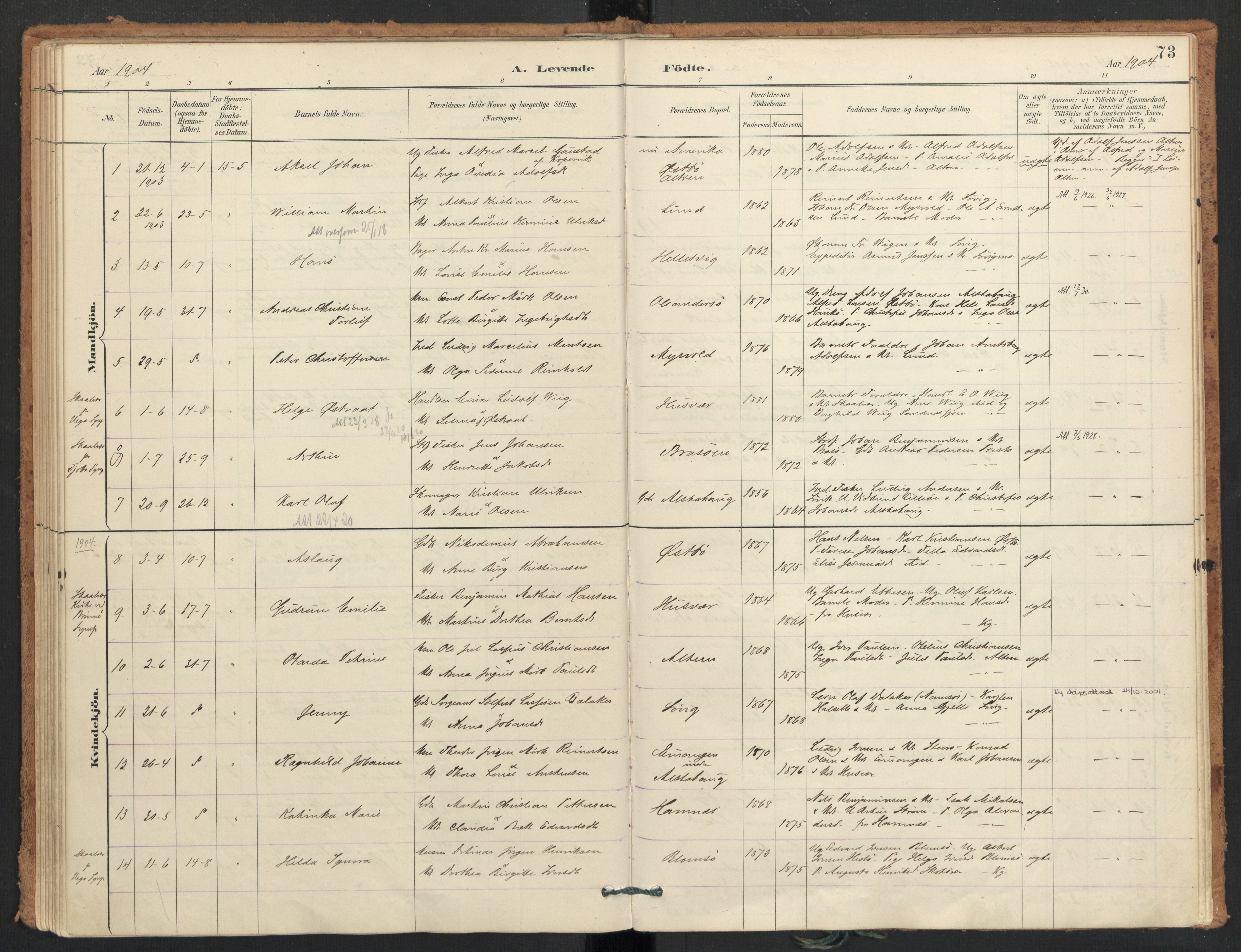 Ministerialprotokoller, klokkerbøker og fødselsregistre - Nordland, AV/SAT-A-1459/830/L0453: Parish register (official) no. 830A17, 1886-1911, p. 73