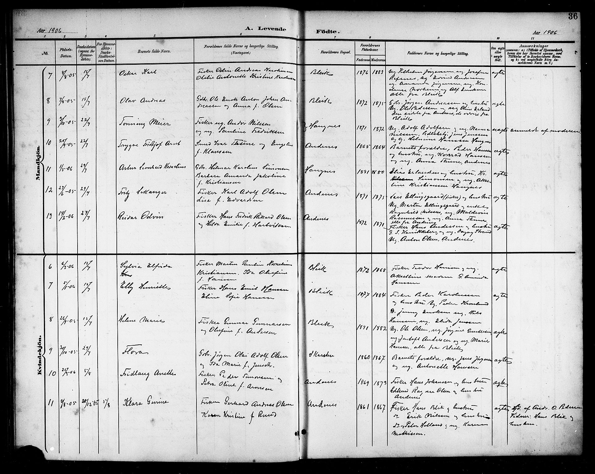 Ministerialprotokoller, klokkerbøker og fødselsregistre - Nordland, AV/SAT-A-1459/899/L1449: Parish register (copy) no. 899C04, 1900-1918, p. 36