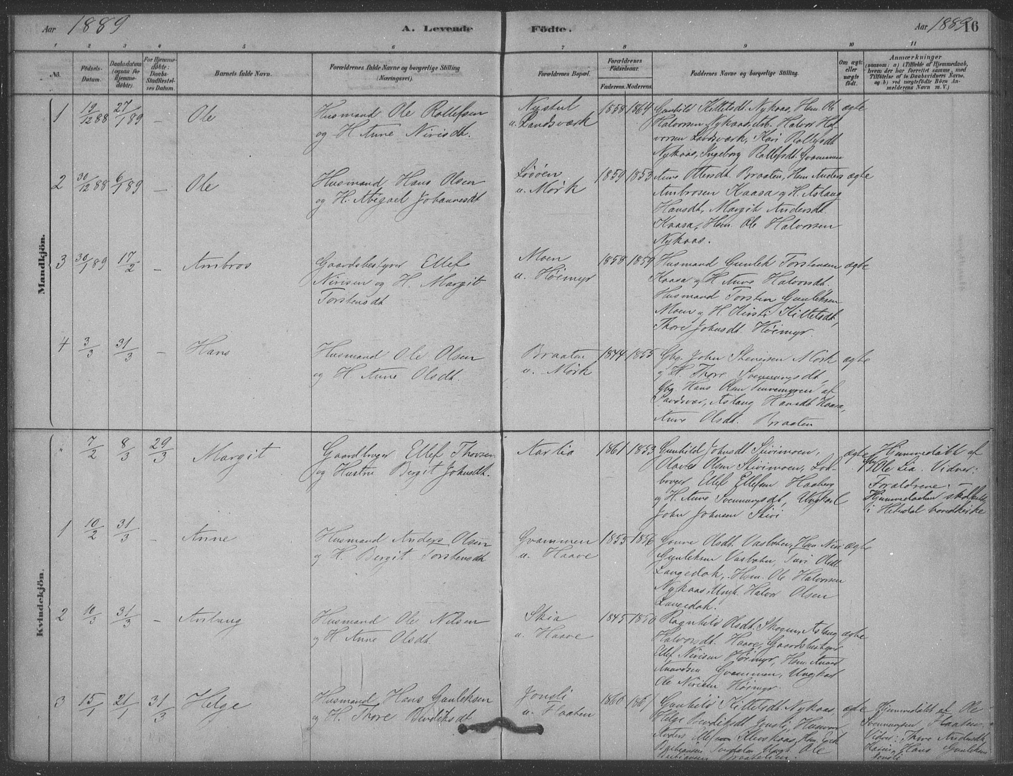 Heddal kirkebøker, SAKO/A-268/F/Fb/L0002: Parish register (official) no. II 2, 1878-1913, p. 16