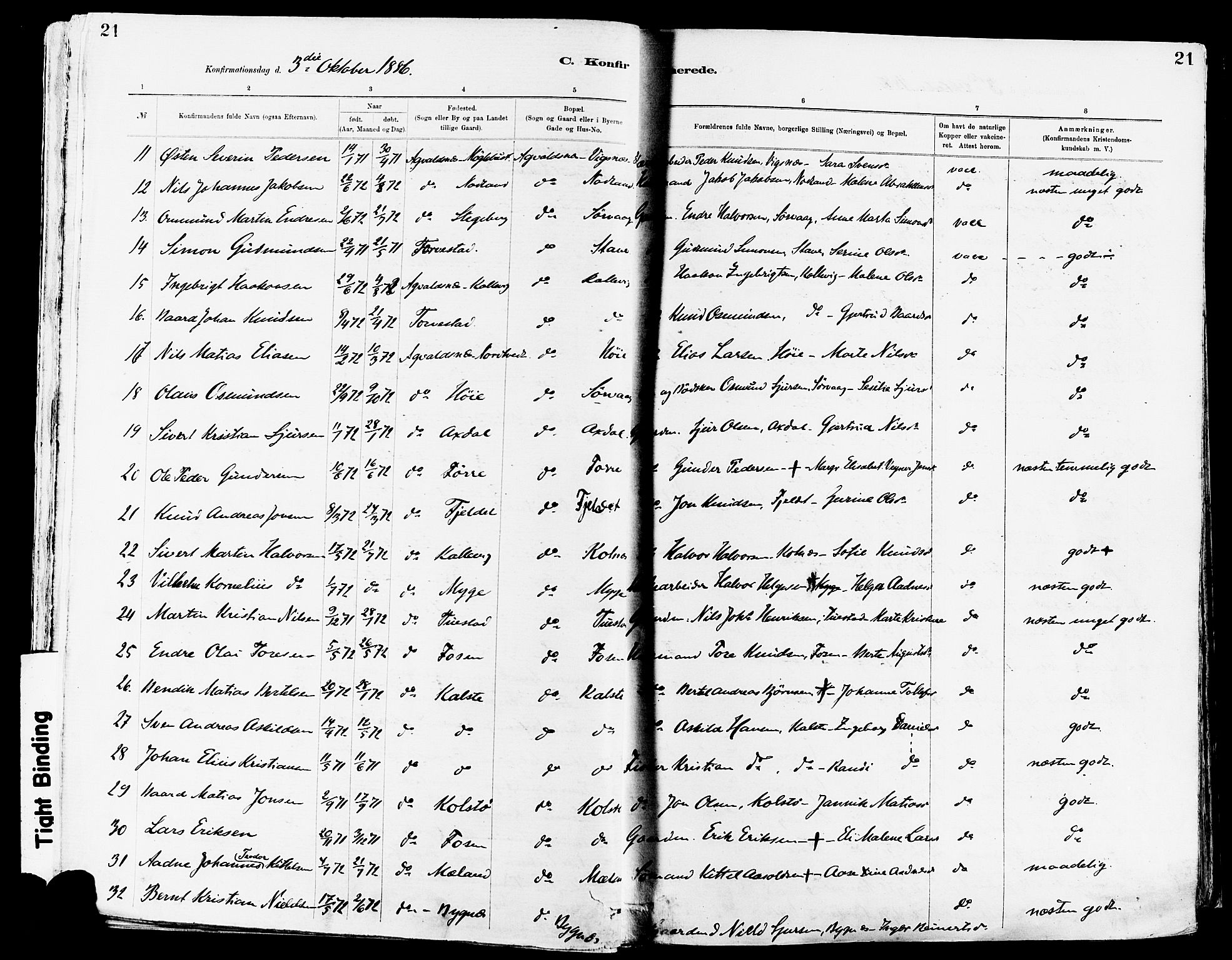 Avaldsnes sokneprestkontor, SAST/A -101851/H/Ha/Haa/L0015: Parish register (official) no. A 15, 1880-1906, p. 21