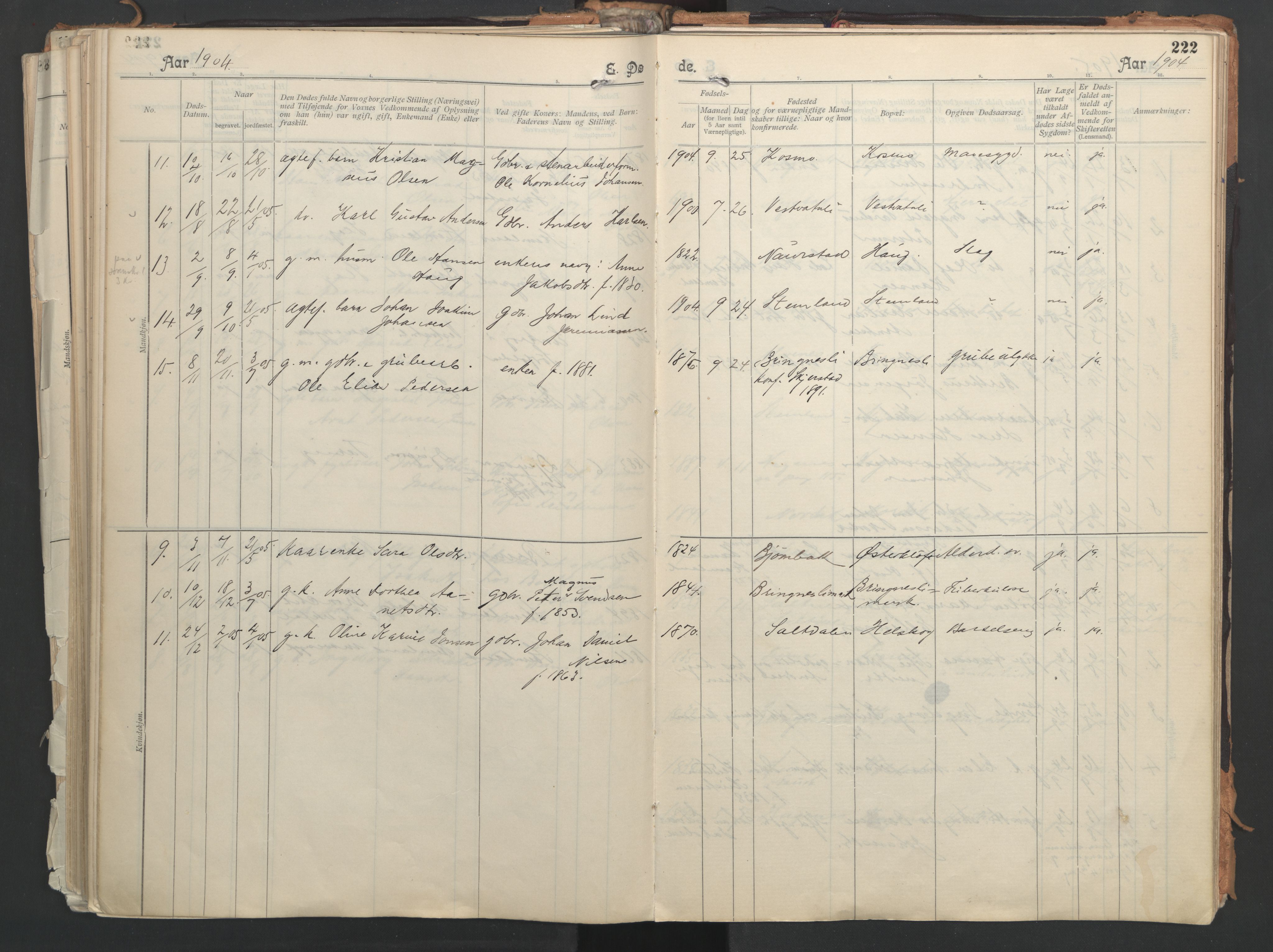 Ministerialprotokoller, klokkerbøker og fødselsregistre - Nordland, AV/SAT-A-1459/851/L0724: Parish register (official) no. 851A01, 1901-1922, p. 222