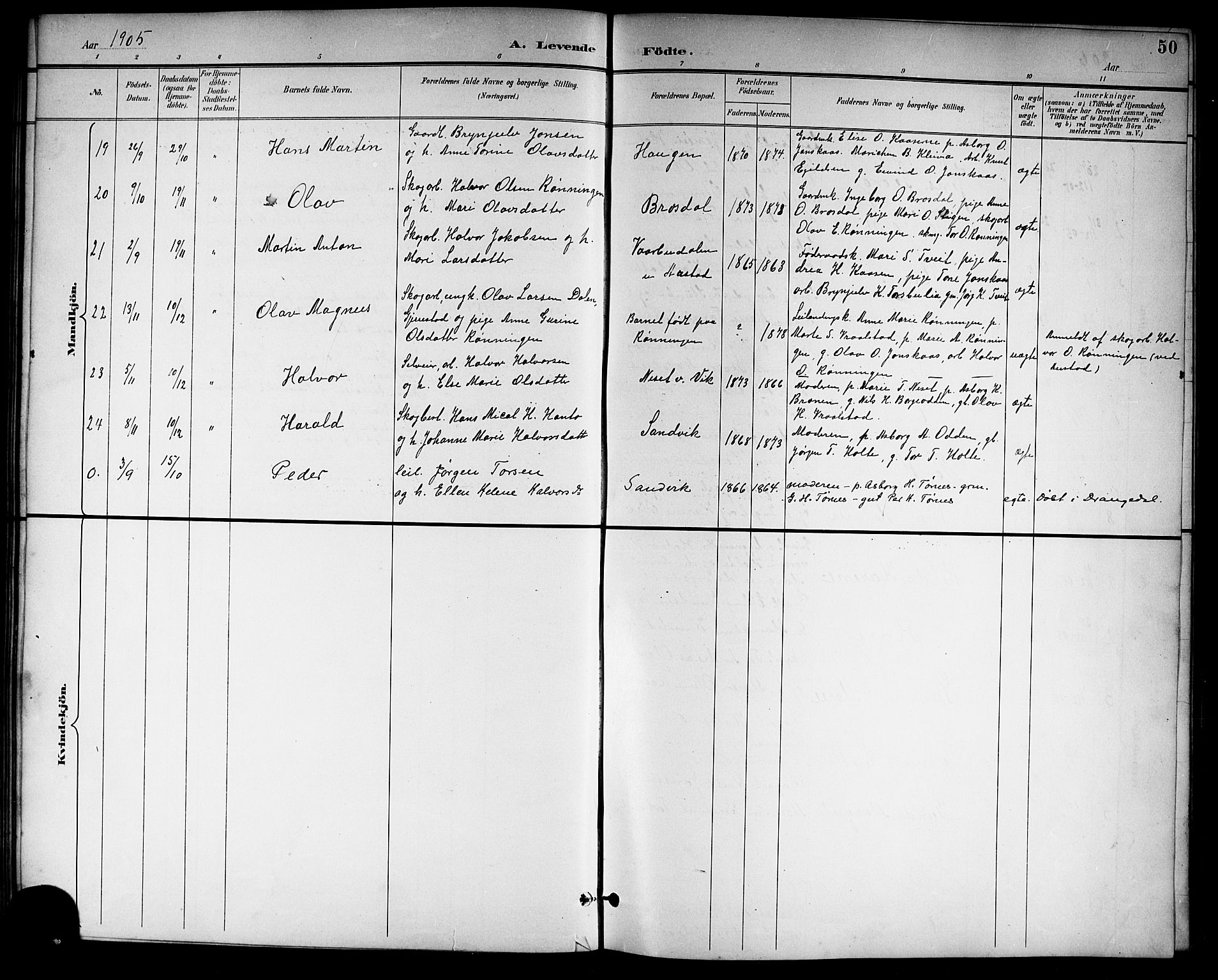 Drangedal kirkebøker, SAKO/A-258/G/Gb/L0002: Parish register (copy) no. II 2, 1895-1918, p. 50