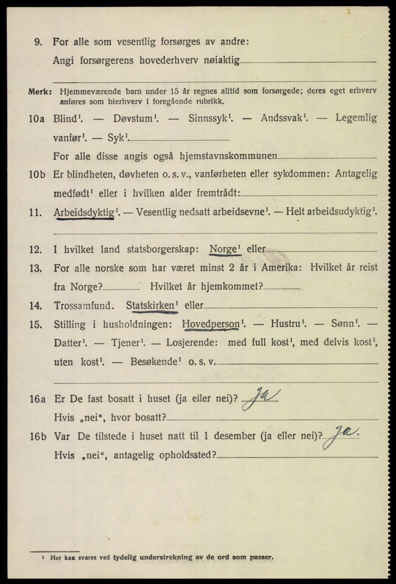 SAH, 1920 census for Øystre Slidre, 1920, p. 1004