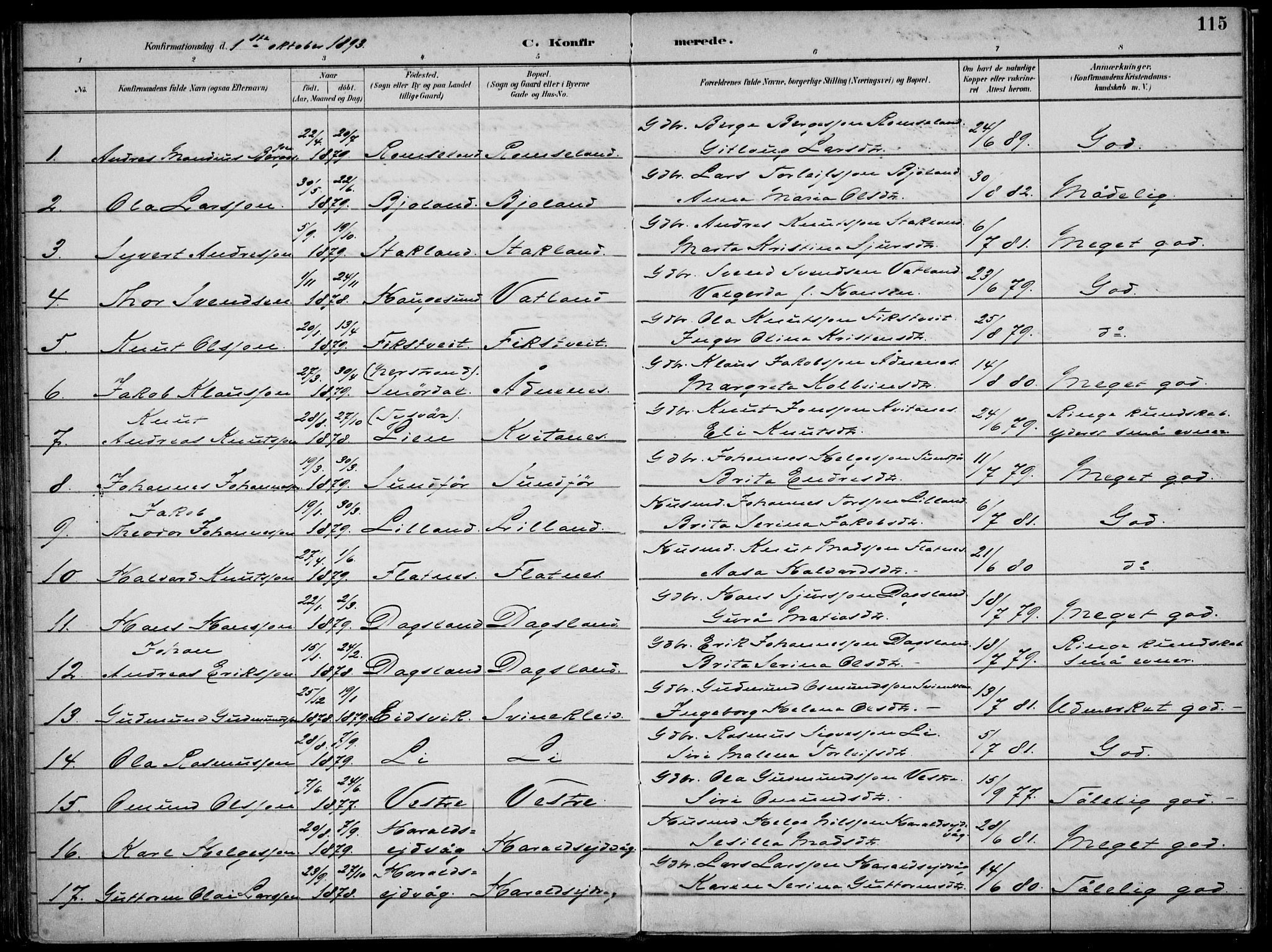 Skjold sokneprestkontor, SAST/A-101847/H/Ha/Haa/L0010: Parish register (official) no. A 10, 1882-1897, p. 115