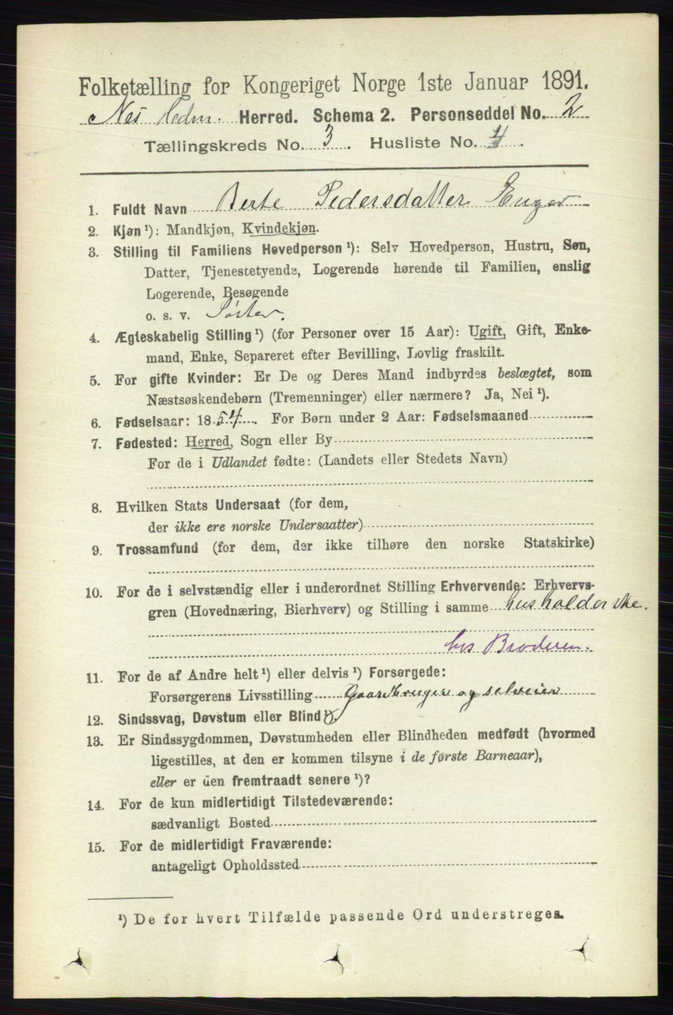 RA, 1891 census for 0411 Nes, 1891, p. 1613