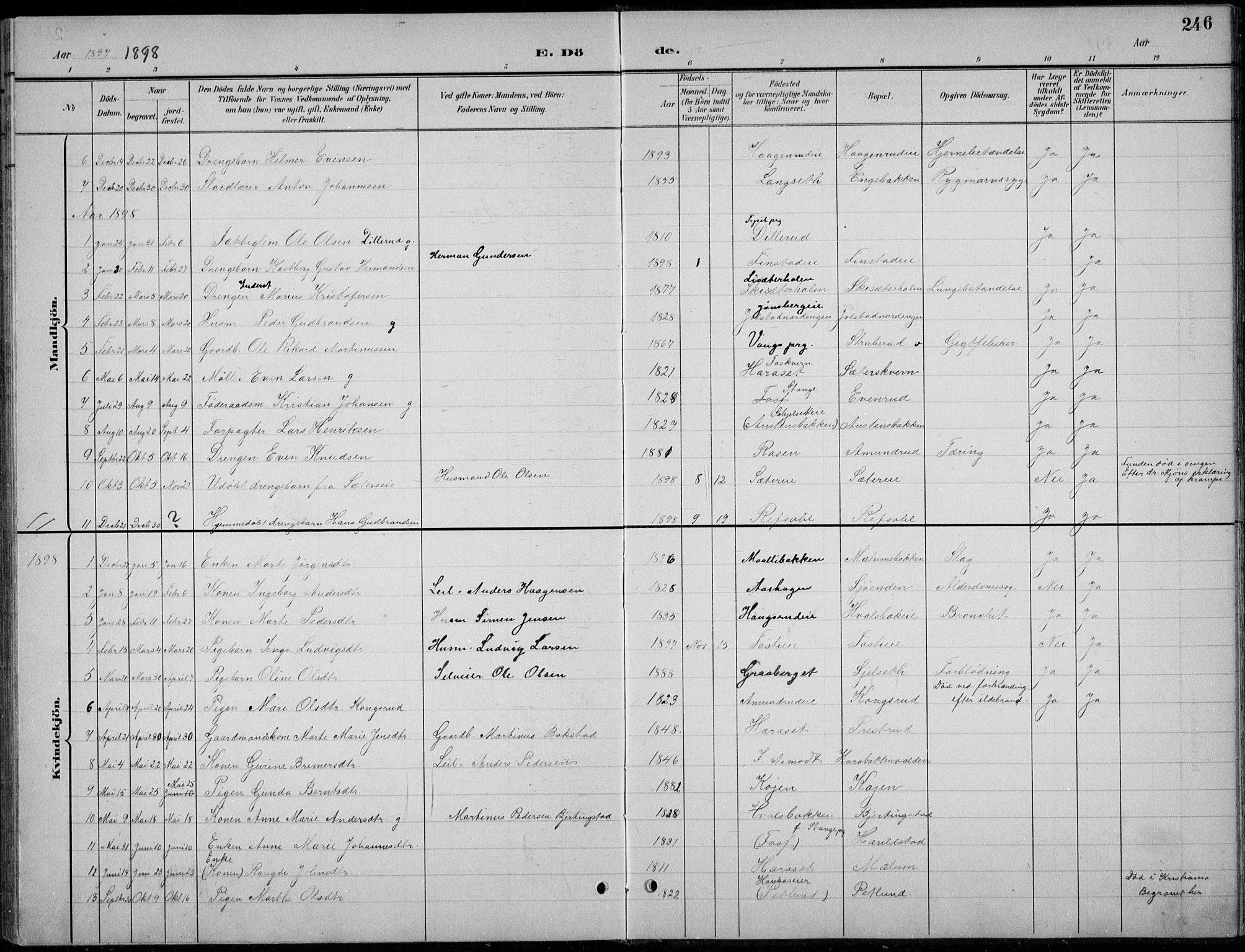 Romedal prestekontor, AV/SAH-PREST-004/L/L0013: Parish register (copy) no. 13, 1896-1937, p. 246