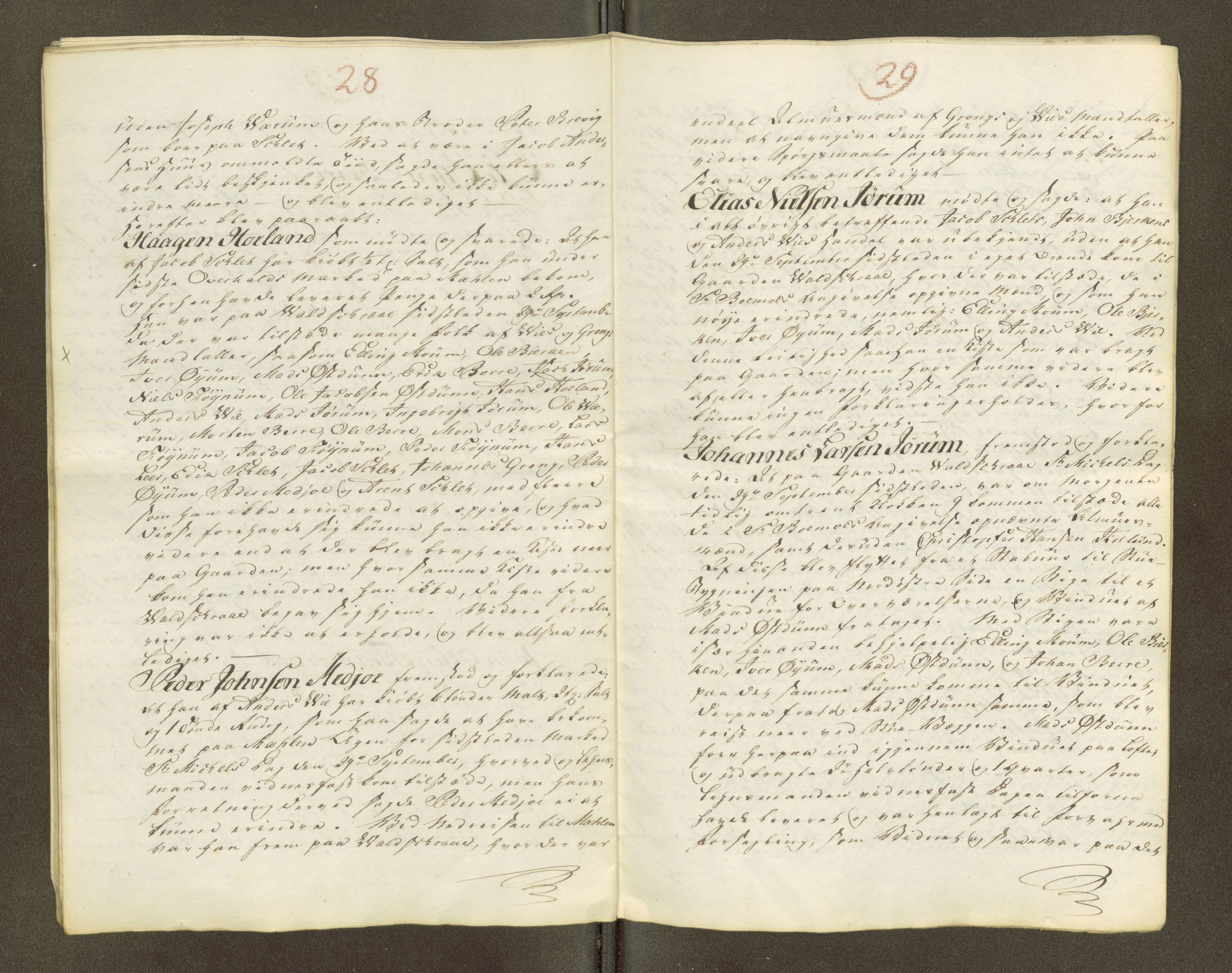 Namdal sorenskriveri, AV/SAT-A-4133/1/1/1O/1Oa/L0007: Sivile og offentlige saker, 1798, p. 46