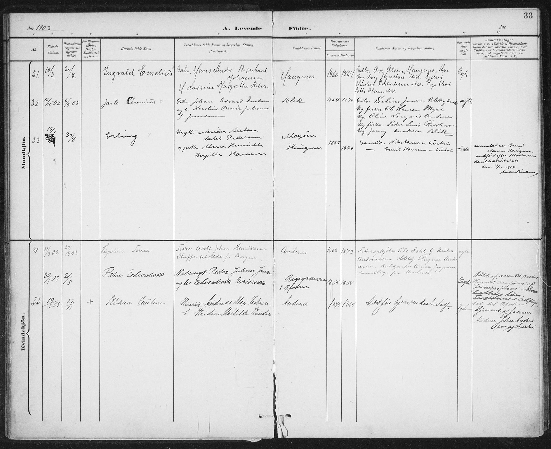 Ministerialprotokoller, klokkerbøker og fødselsregistre - Nordland, AV/SAT-A-1459/899/L1437: Parish register (official) no. 899A05, 1897-1908, p. 33