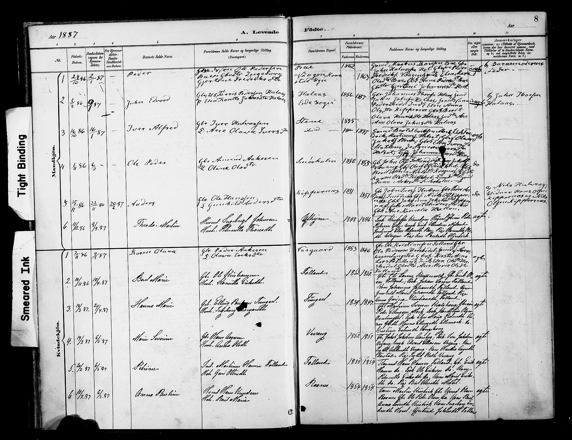 Ministerialprotokoller, klokkerbøker og fødselsregistre - Møre og Romsdal, SAT/A-1454/570/L0832: Parish register (official) no. 570A06, 1885-1900, p. 8