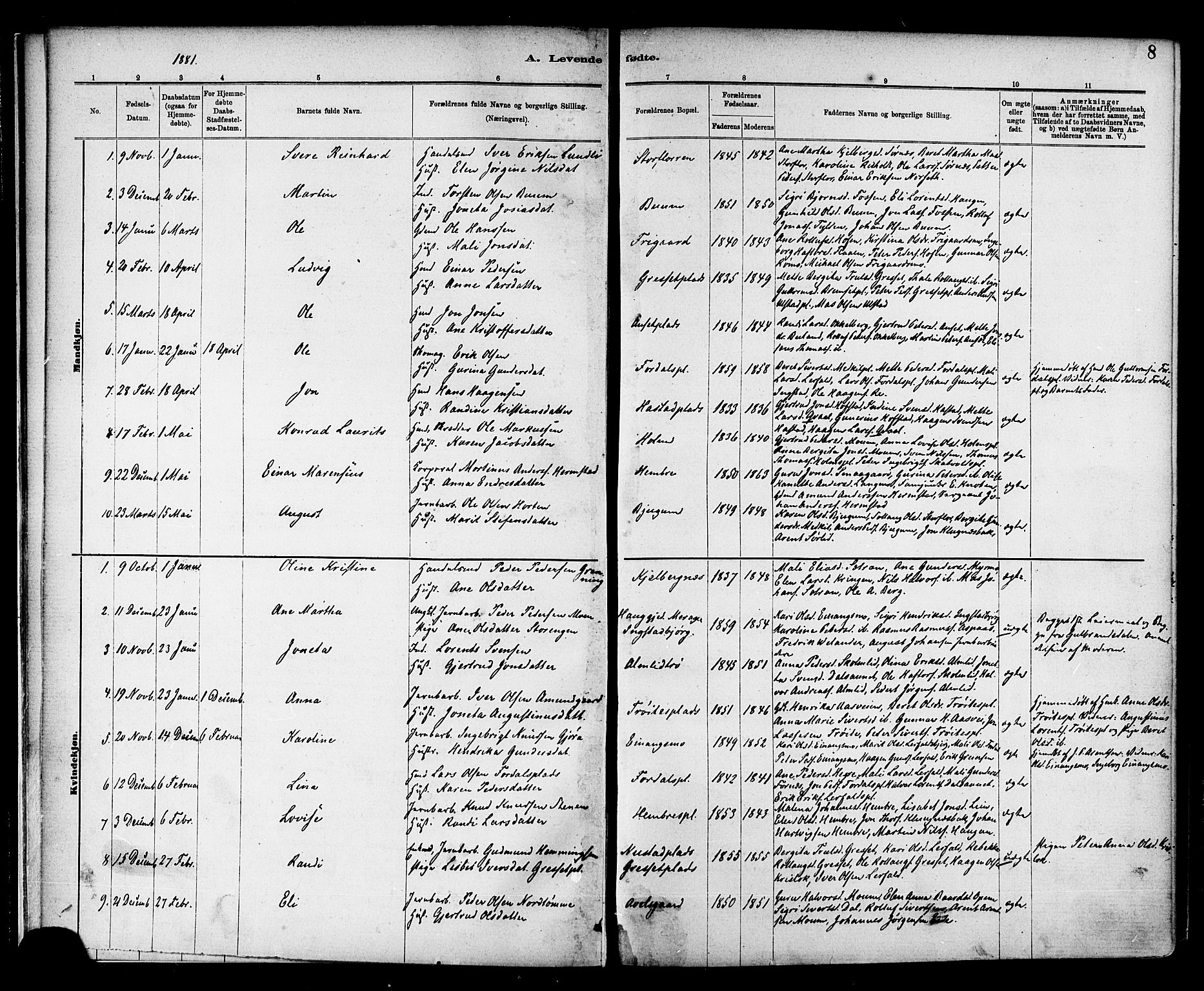 Ministerialprotokoller, klokkerbøker og fødselsregistre - Nord-Trøndelag, SAT/A-1458/703/L0030: Parish register (official) no. 703A03, 1880-1892, p. 8