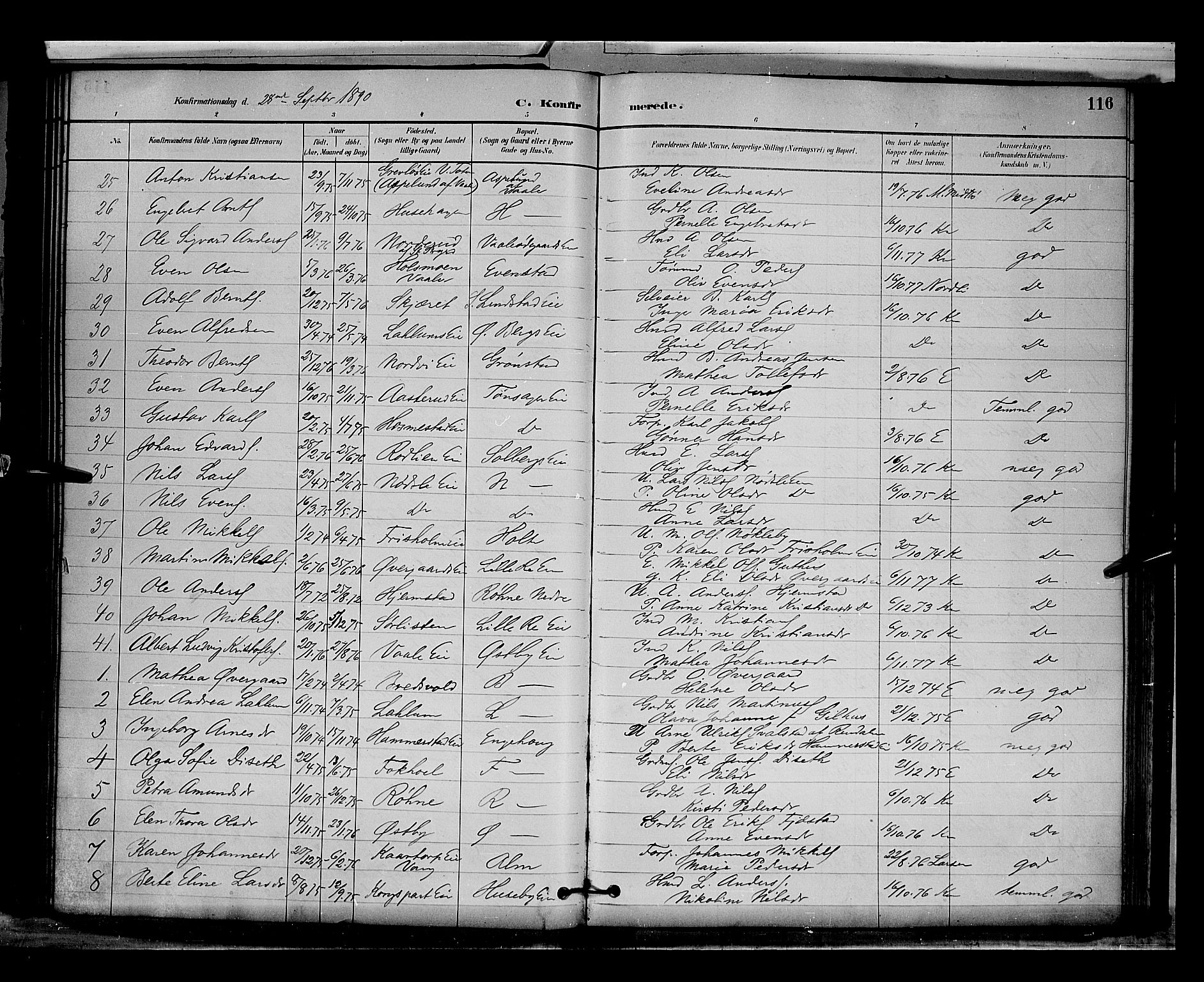 Stange prestekontor, SAH/PREST-002/L/L0009: Parish register (copy) no. 9, 1883-1899, p. 116