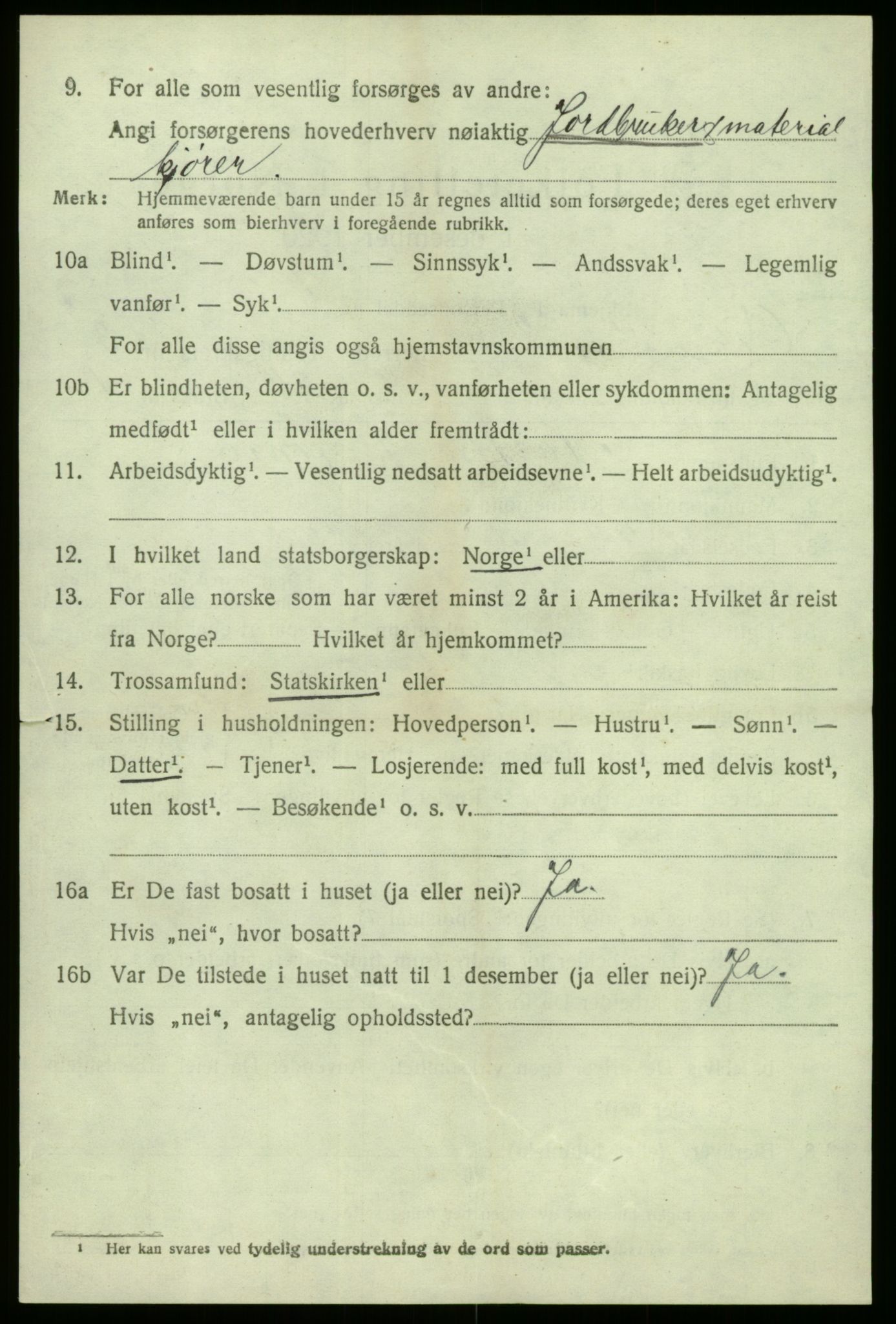 SAB, 1920 census for Vik, 1920, p. 3204