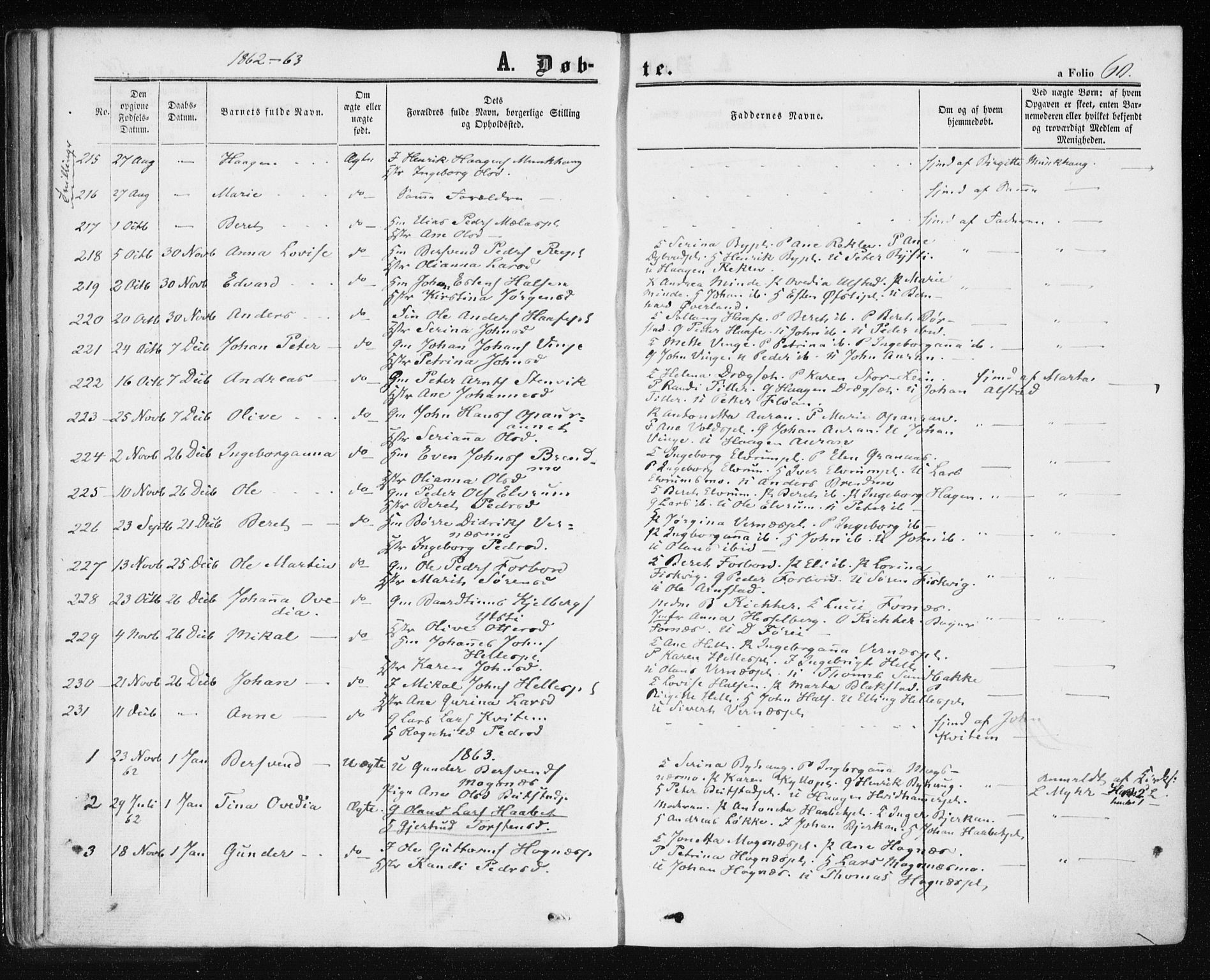 Ministerialprotokoller, klokkerbøker og fødselsregistre - Nord-Trøndelag, SAT/A-1458/709/L0075: Parish register (official) no. 709A15, 1859-1870, p. 60