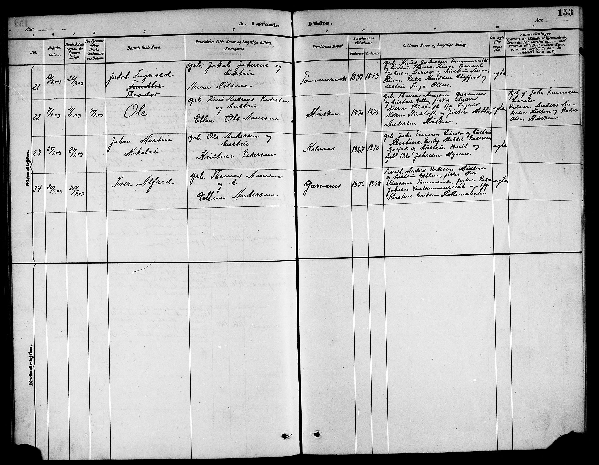 Ministerialprotokoller, klokkerbøker og fødselsregistre - Nordland, AV/SAT-A-1459/861/L0876: Parish register (copy) no. 861C02, 1887-1903, p. 153