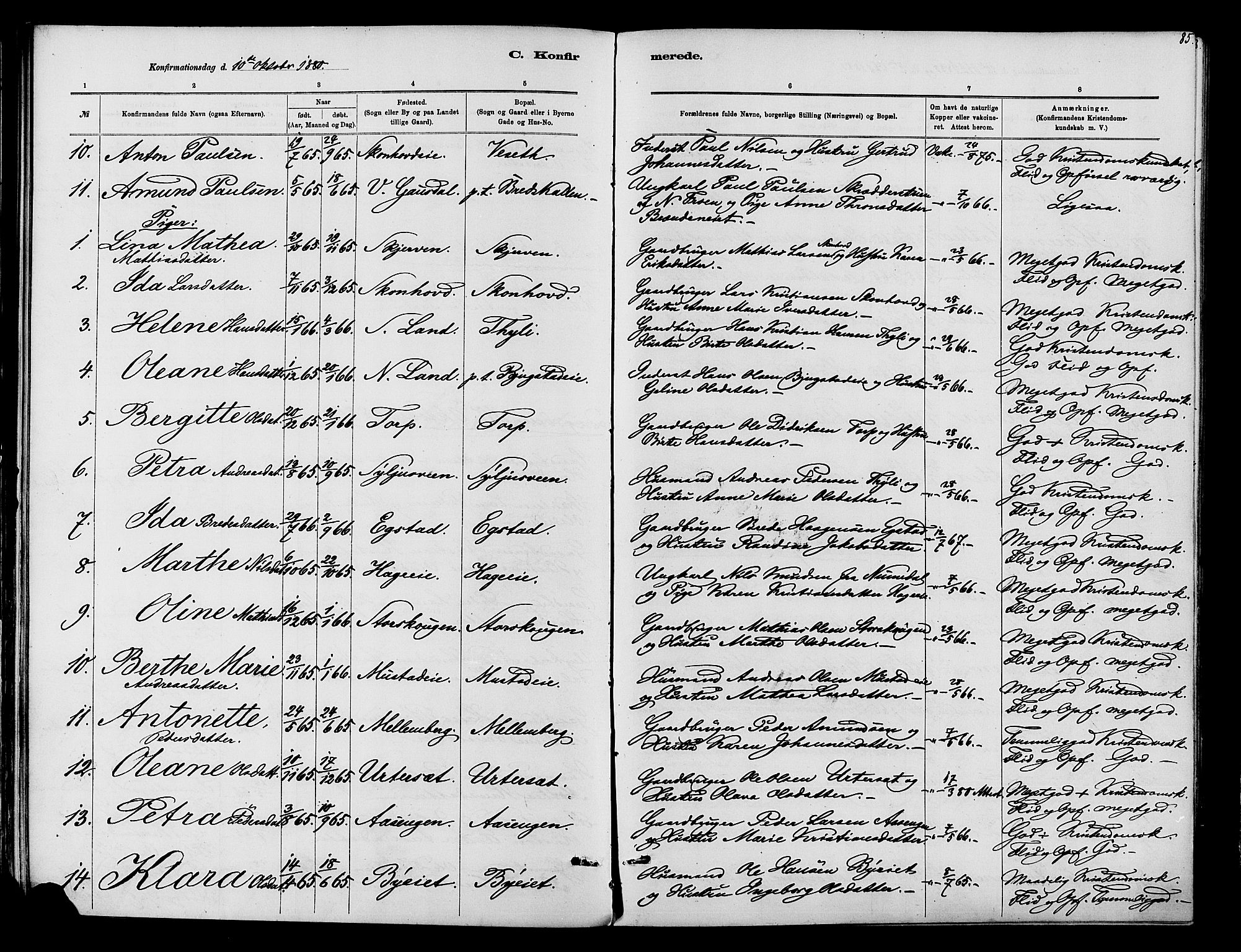 Vardal prestekontor, SAH/PREST-100/H/Ha/Haa/L0010: Parish register (official) no. 10, 1878-1893, p. 85