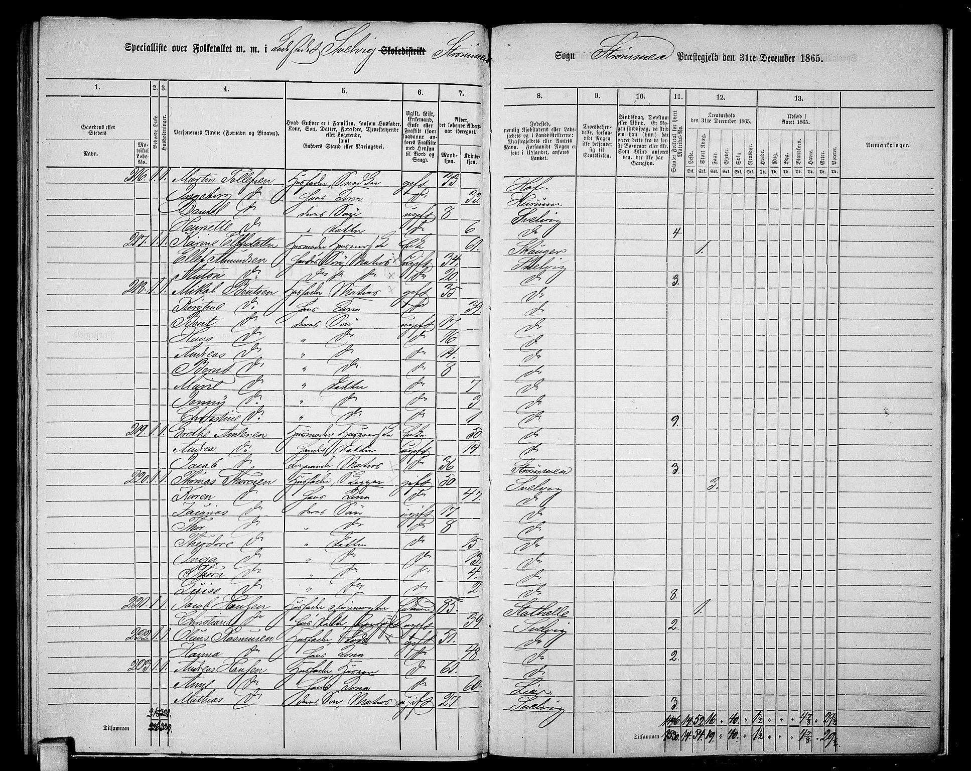 RA, 1865 census for Strømm, 1865, p. 115