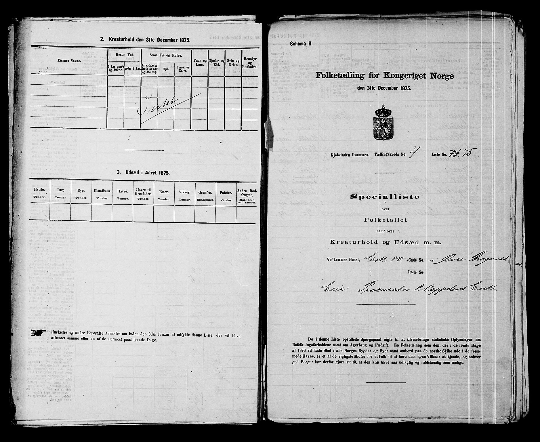 SAKO, 1875 census for 0602 Drammen, 1875, p. 384