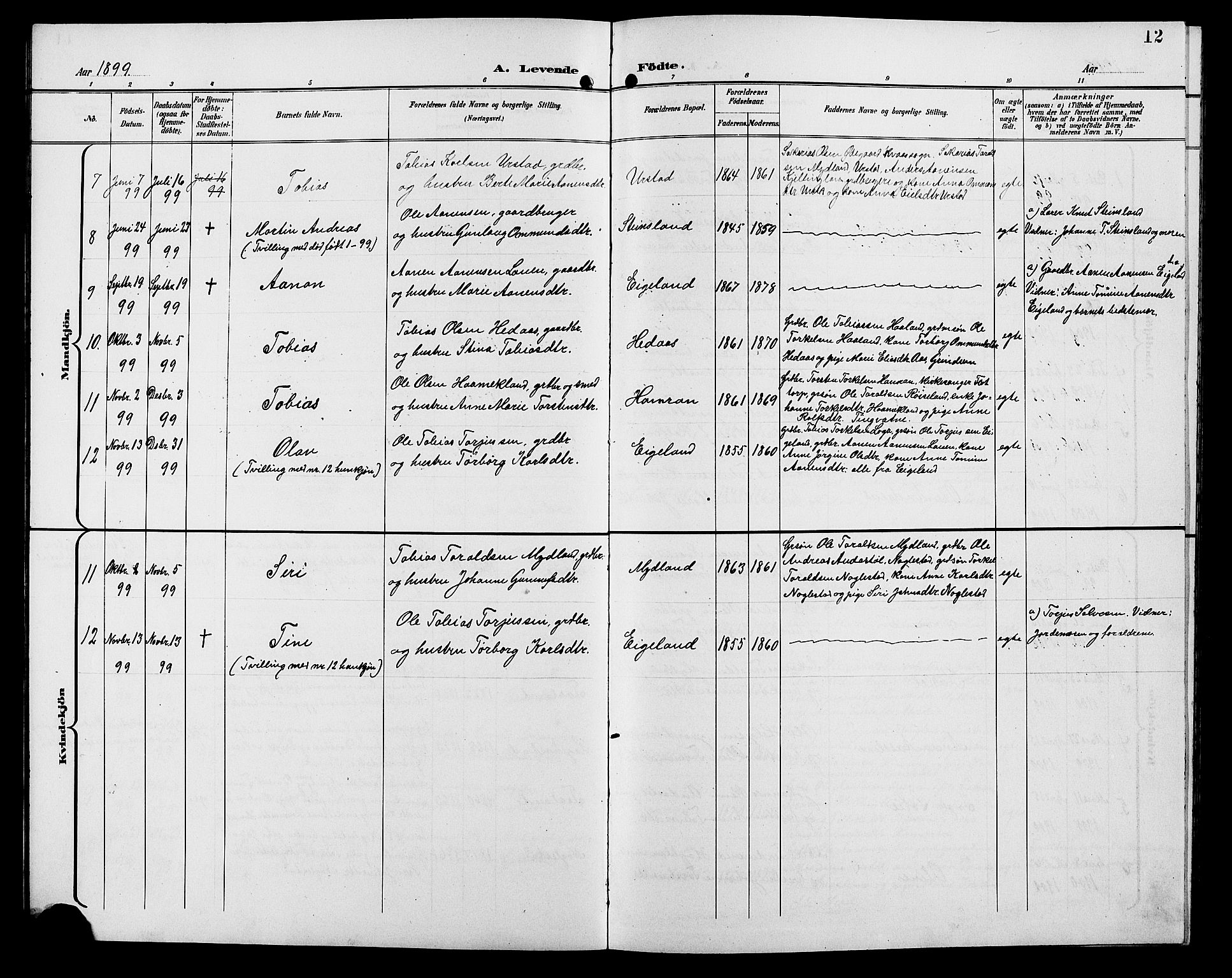 Hægebostad sokneprestkontor, AV/SAK-1111-0024/F/Fb/Fba/L0004: Parish register (copy) no. B 4, 1897-1907, p. 12