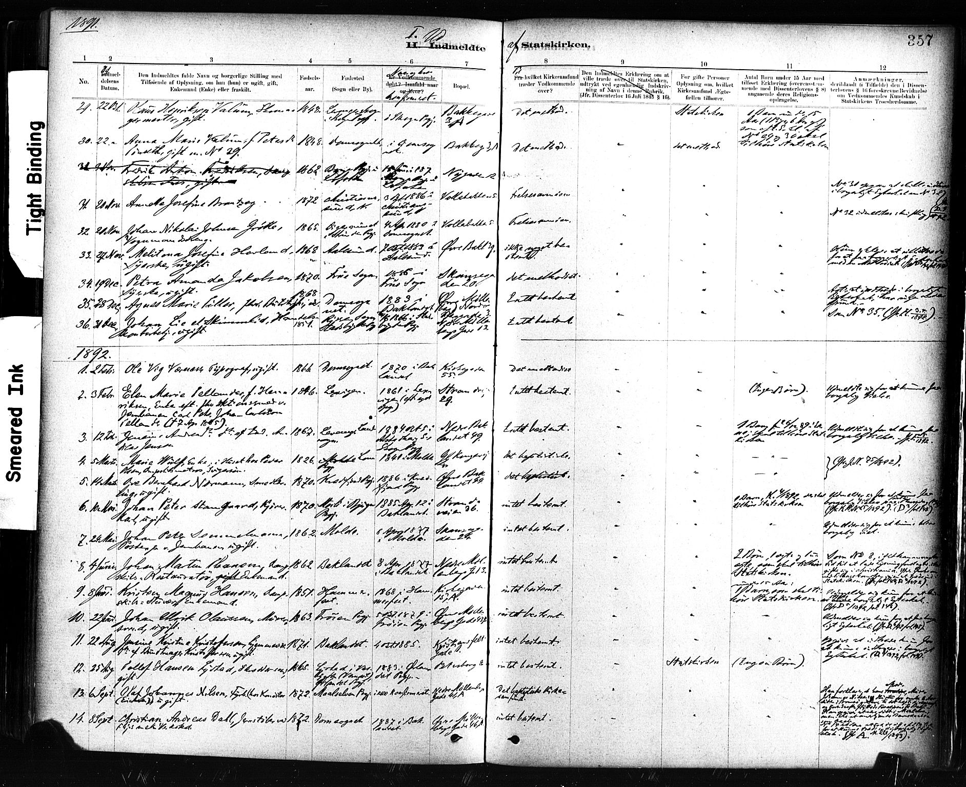 Ministerialprotokoller, klokkerbøker og fødselsregistre - Sør-Trøndelag, SAT/A-1456/604/L0189: Parish register (official) no. 604A10, 1878-1892, p. 357