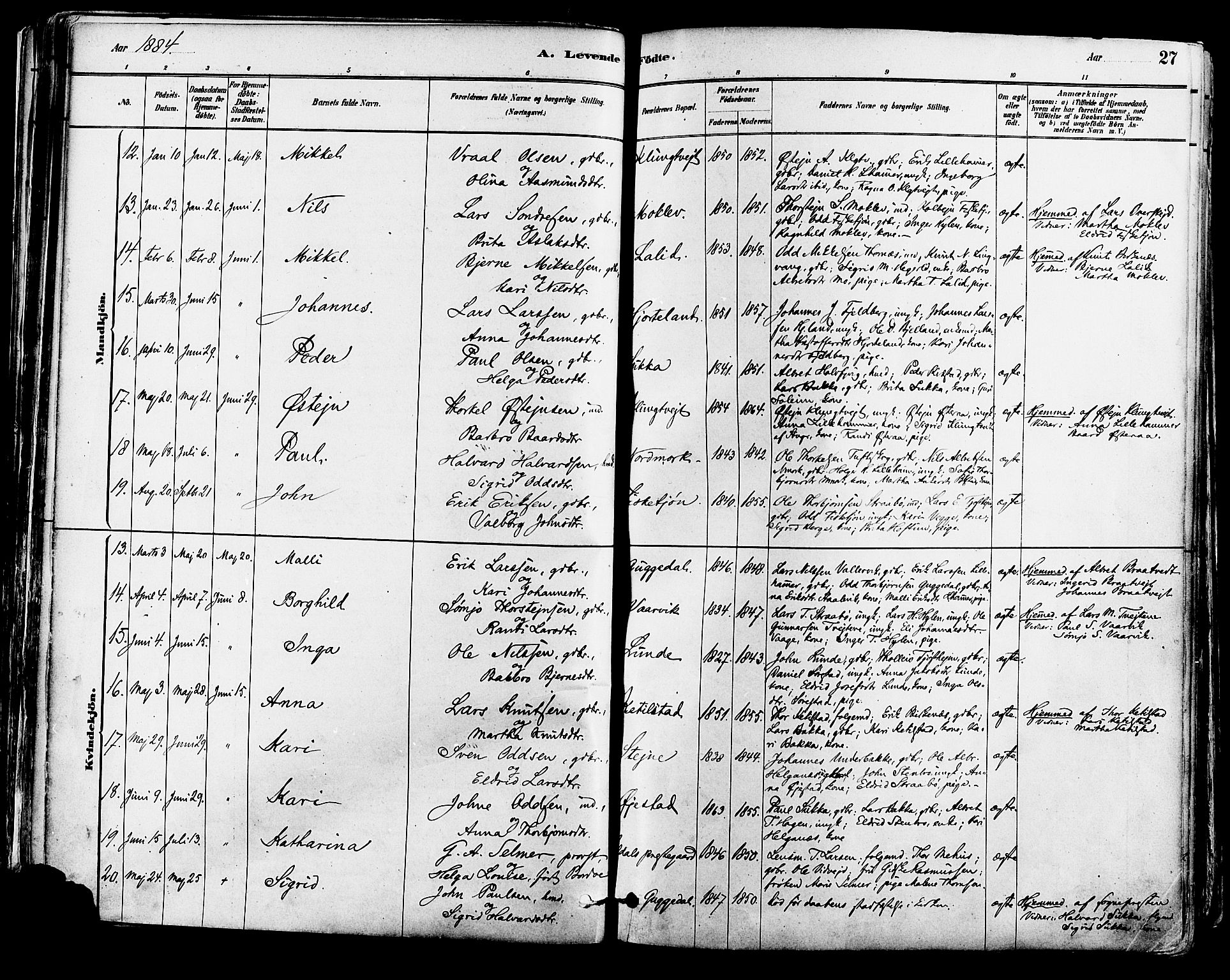 Suldal sokneprestkontor, AV/SAST-A-101845/01/IV/L0011: Parish register (official) no. A 11, 1878-1900, p. 27