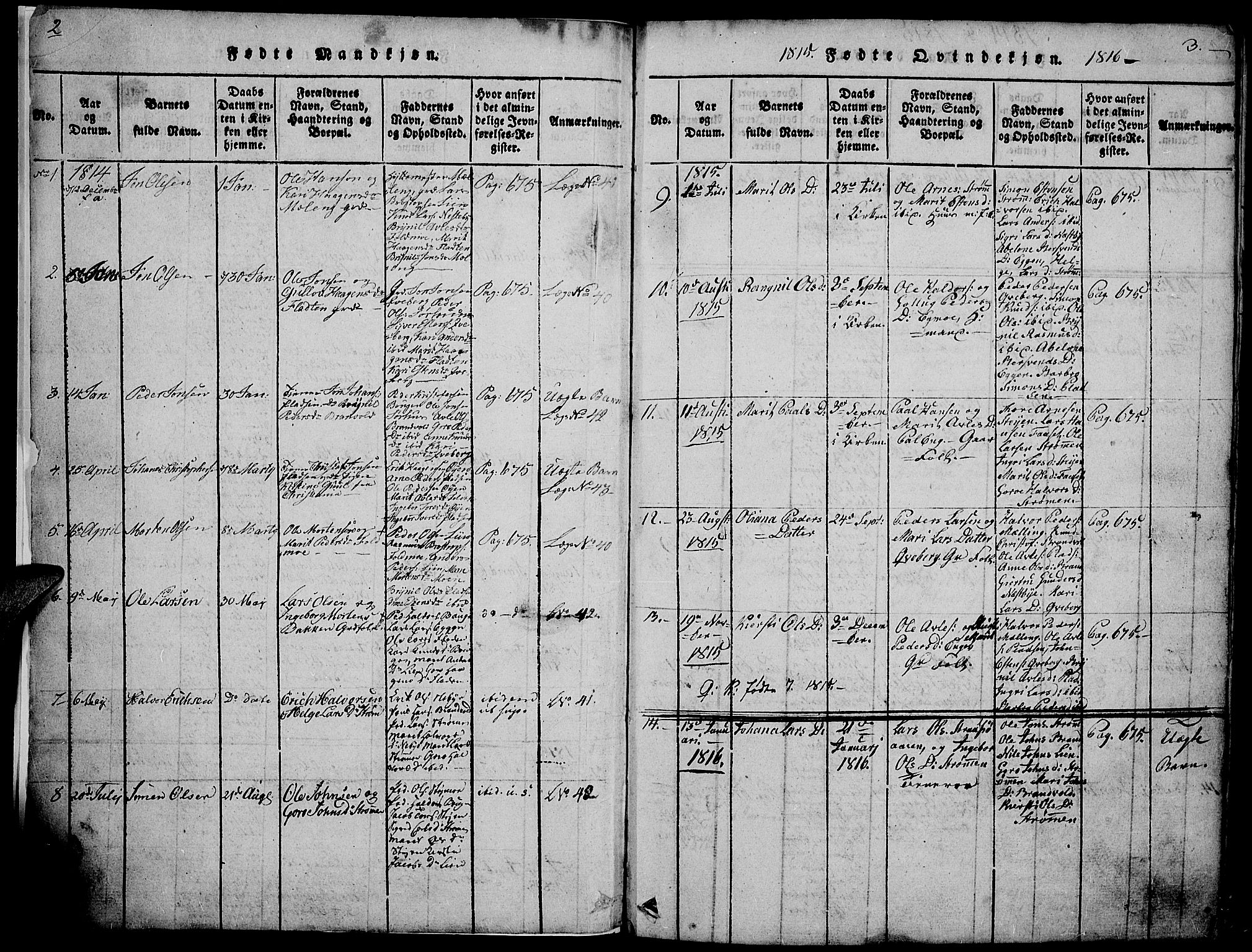 Tynset prestekontor, SAH/PREST-058/H/Ha/Hab/L0002: Parish register (copy) no. 2, 1814-1862, p. 2-3