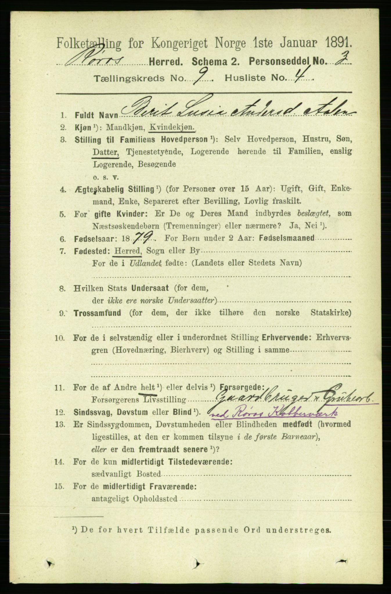 RA, 1891 census for 1640 Røros, 1891, p. 1838