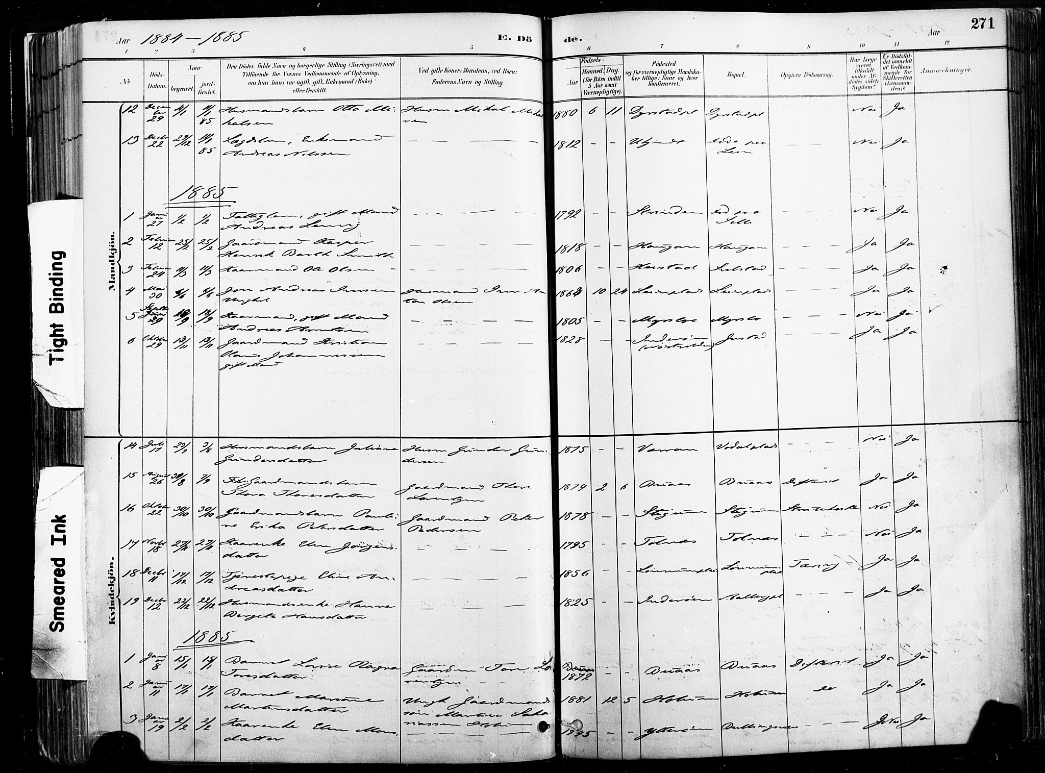 Ministerialprotokoller, klokkerbøker og fødselsregistre - Nord-Trøndelag, AV/SAT-A-1458/735/L0351: Parish register (official) no. 735A10, 1884-1908, p. 271
