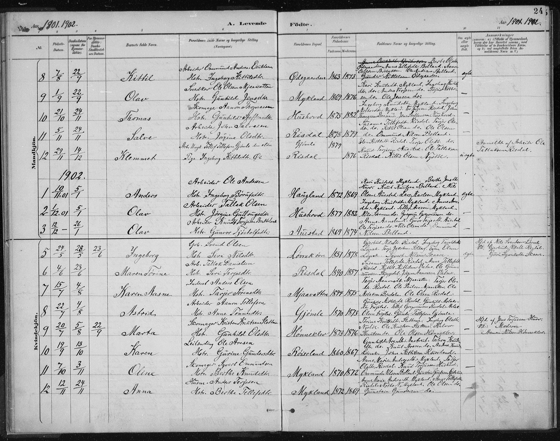 Herefoss sokneprestkontor, AV/SAK-1111-0019/F/Fa/Fac/L0002: Parish register (official) no. A 2, 1887-1915, p. 24