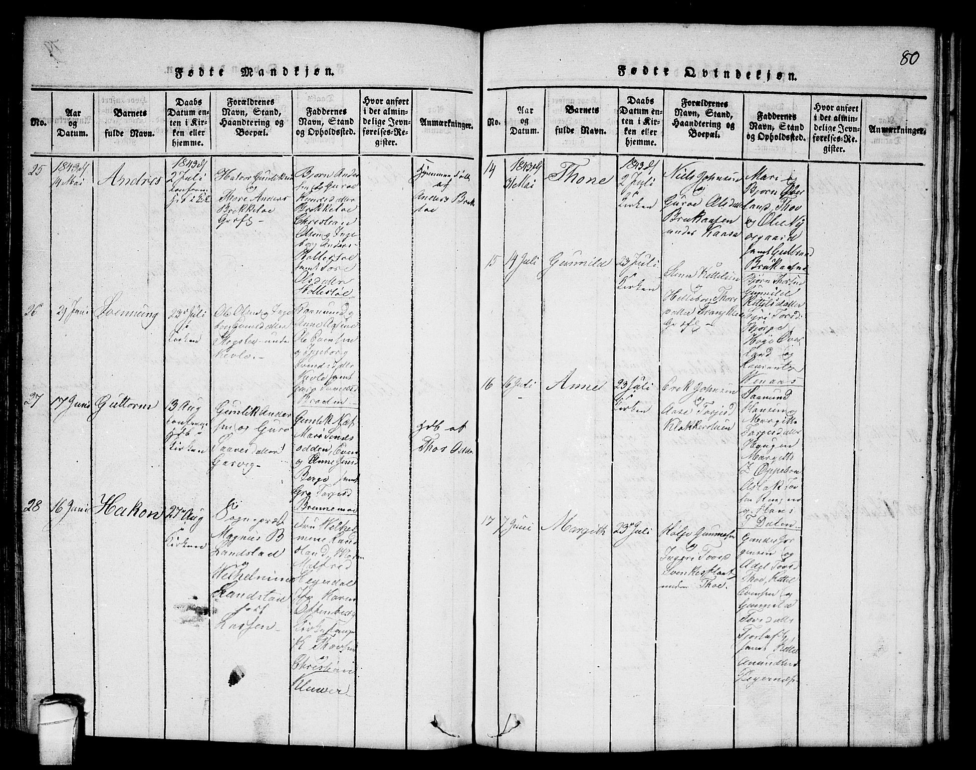 Seljord kirkebøker, AV/SAKO-A-20/F/Fc/L0001: Parish register (official) no. III 1, 1815-1831, p. 80