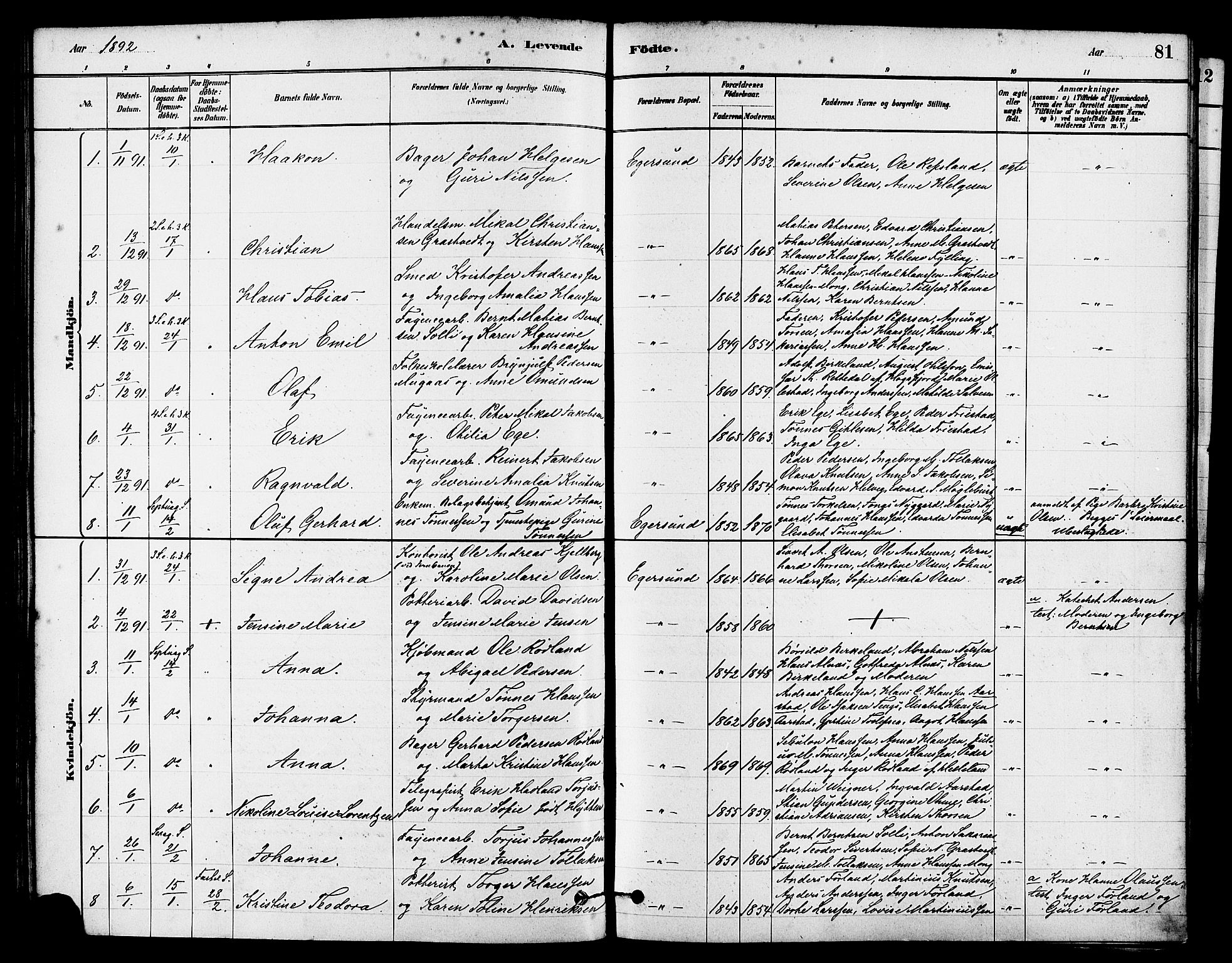 Eigersund sokneprestkontor, AV/SAST-A-101807/S08/L0015: Parish register (official) no. A 15, 1879-1892, p. 81