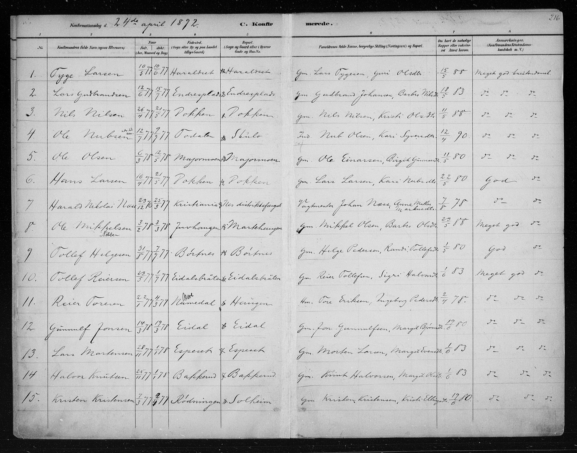 Nes kirkebøker, SAKO/A-236/F/Fa/L0011: Parish register (official) no. 11, 1881-1912, p. 216