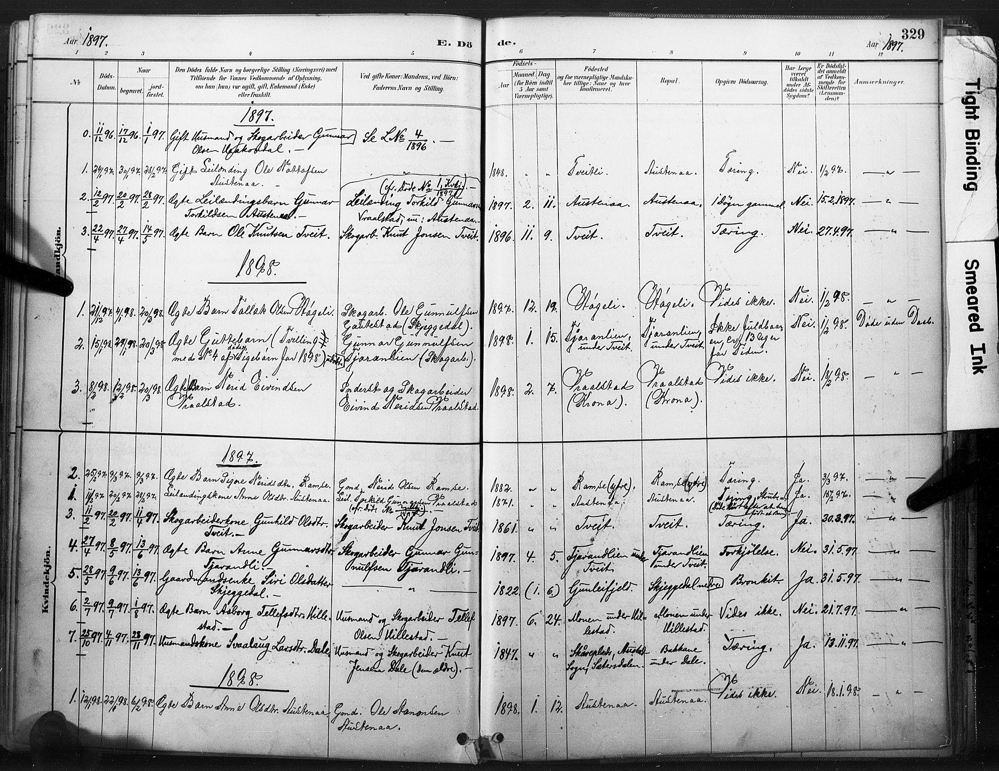 Åmli sokneprestkontor, AV/SAK-1111-0050/F/Fa/Fac/L0010: Parish register (official) no. A 10 /3, 1885-1899, p. 329