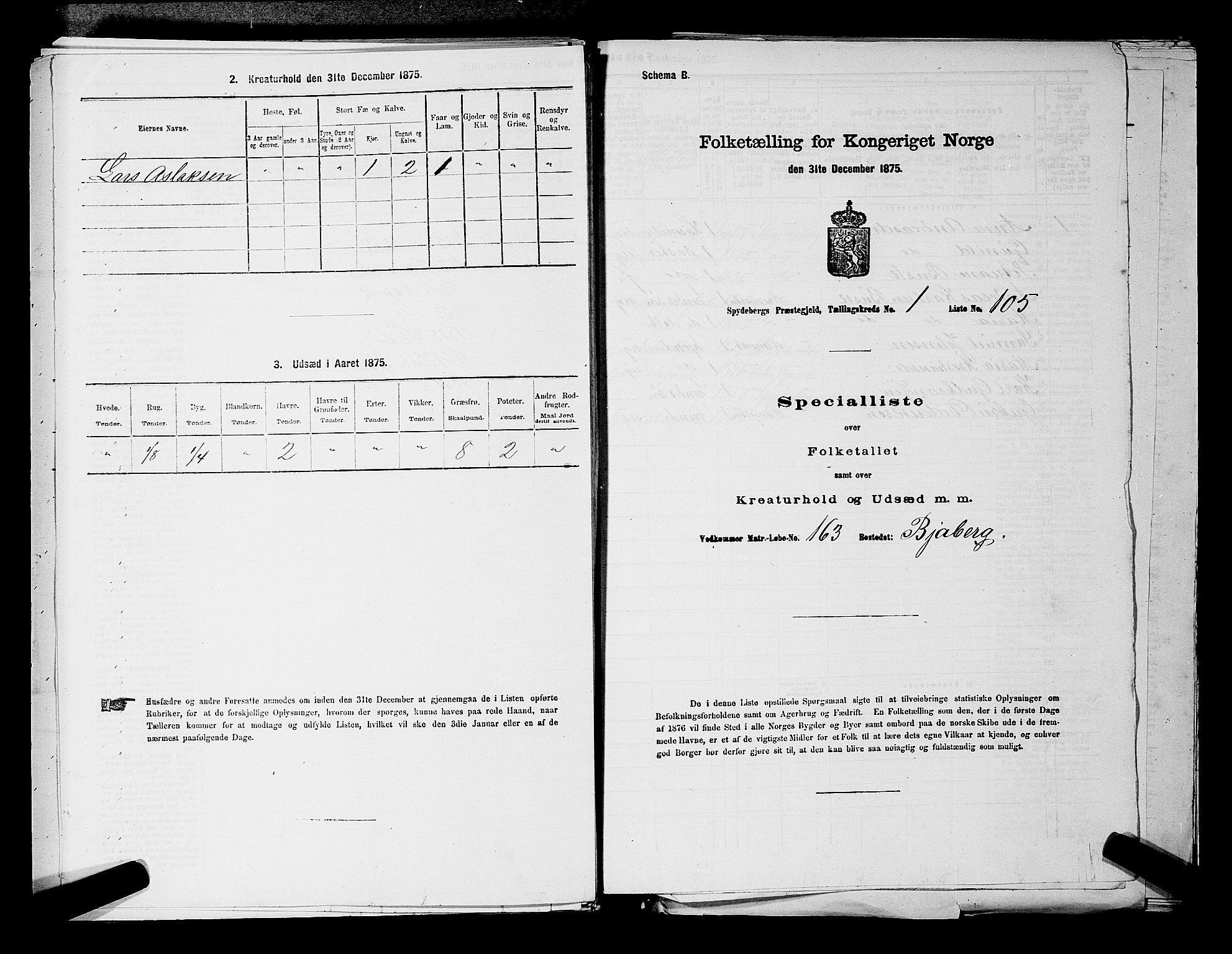 RA, 1875 census for 0123P Spydeberg, 1875, p. 251