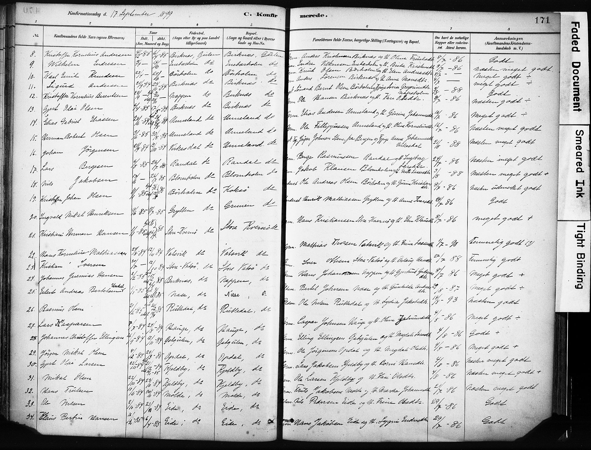 Gulen sokneprestembete, AV/SAB-A-80201/H/Haa/Haab/L0001: Parish register (official) no. B 1, 1881-1905, p. 171