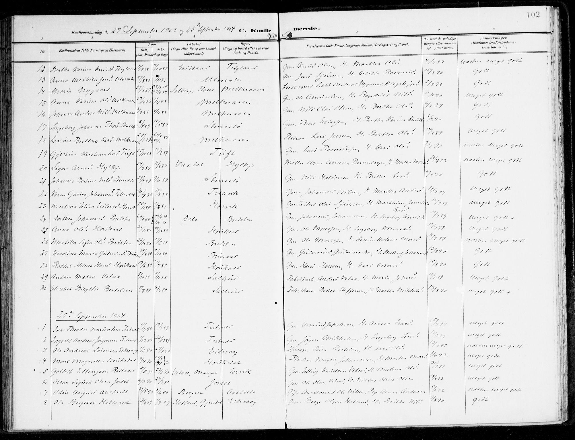 Hamre sokneprestembete, SAB/A-75501/H/Ha/Haa/Haad/L0002: Parish register (official) no. D 2, 1899-1916, p. 102