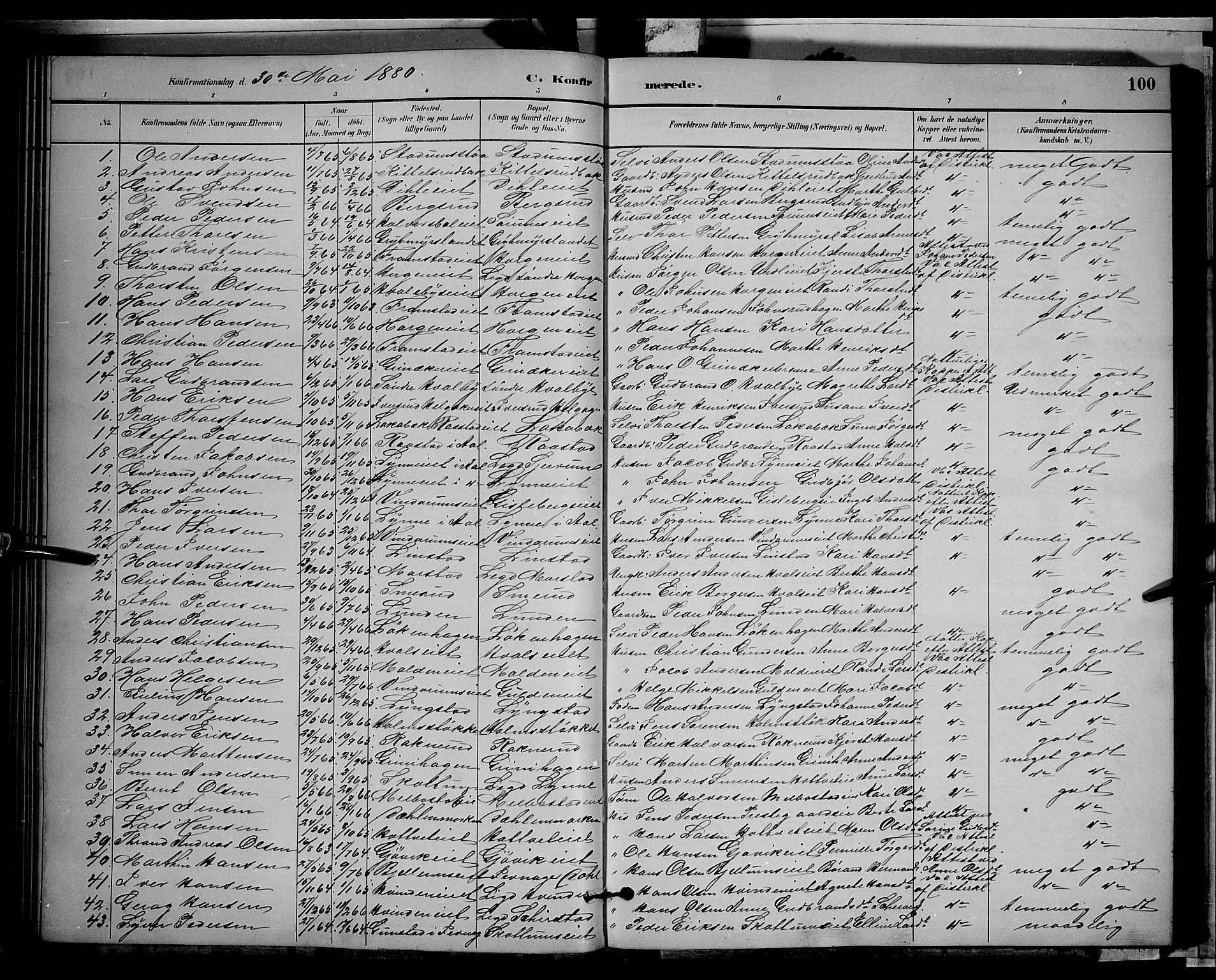 Gran prestekontor, SAH/PREST-112/H/Ha/Hab/L0002: Parish register (copy) no. 2, 1879-1892, p. 100