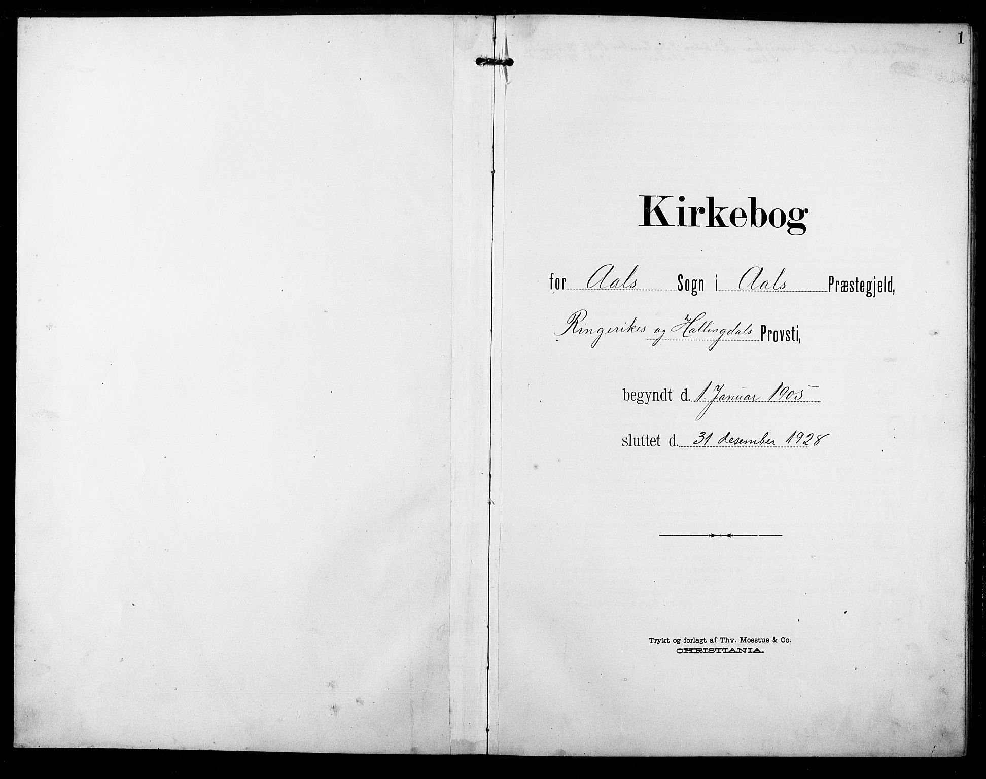 Ål kirkebøker, AV/SAKO-A-249/G/Ga/L0002: Parish register (copy) no. 2, 1904-1928, p. 1