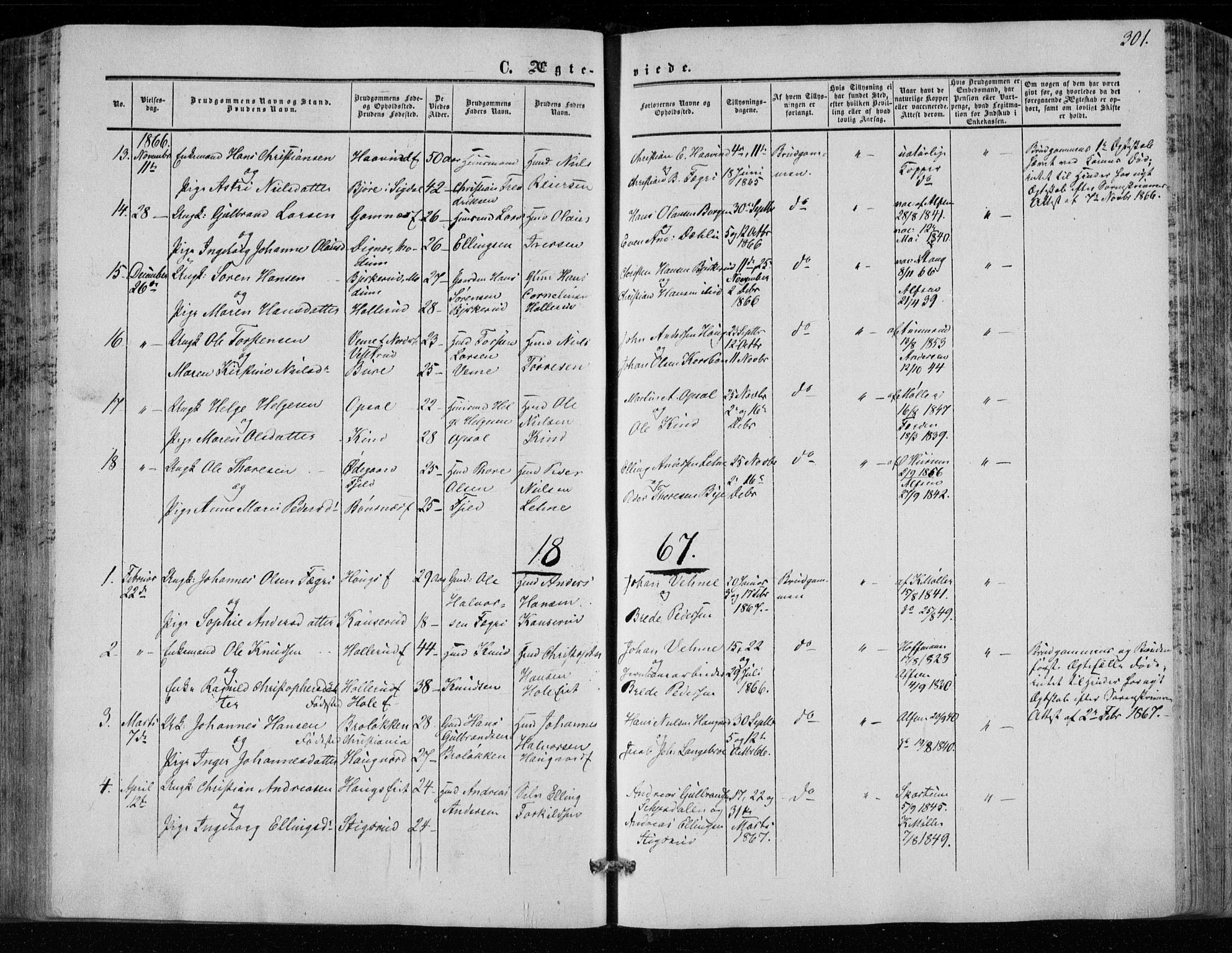 Hole kirkebøker, SAKO/A-228/F/Fa/L0006: Parish register (official) no. I 6, 1852-1872, p. 301
